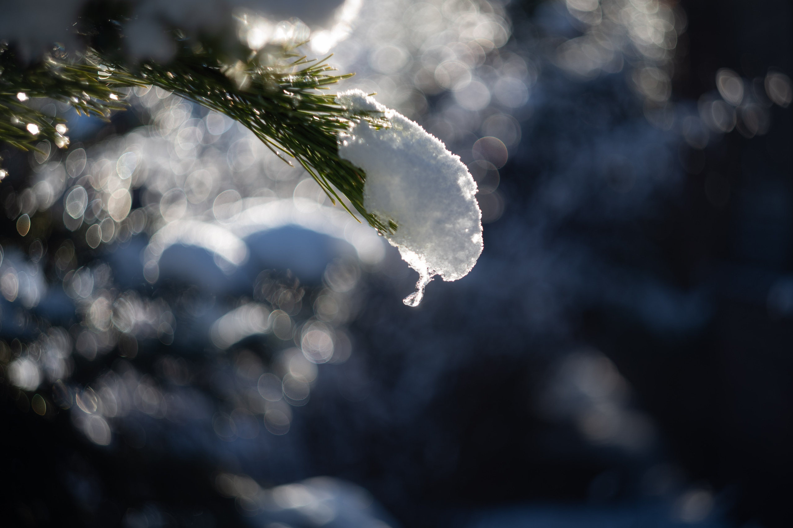 Первый снег 16 ноября 2025. -