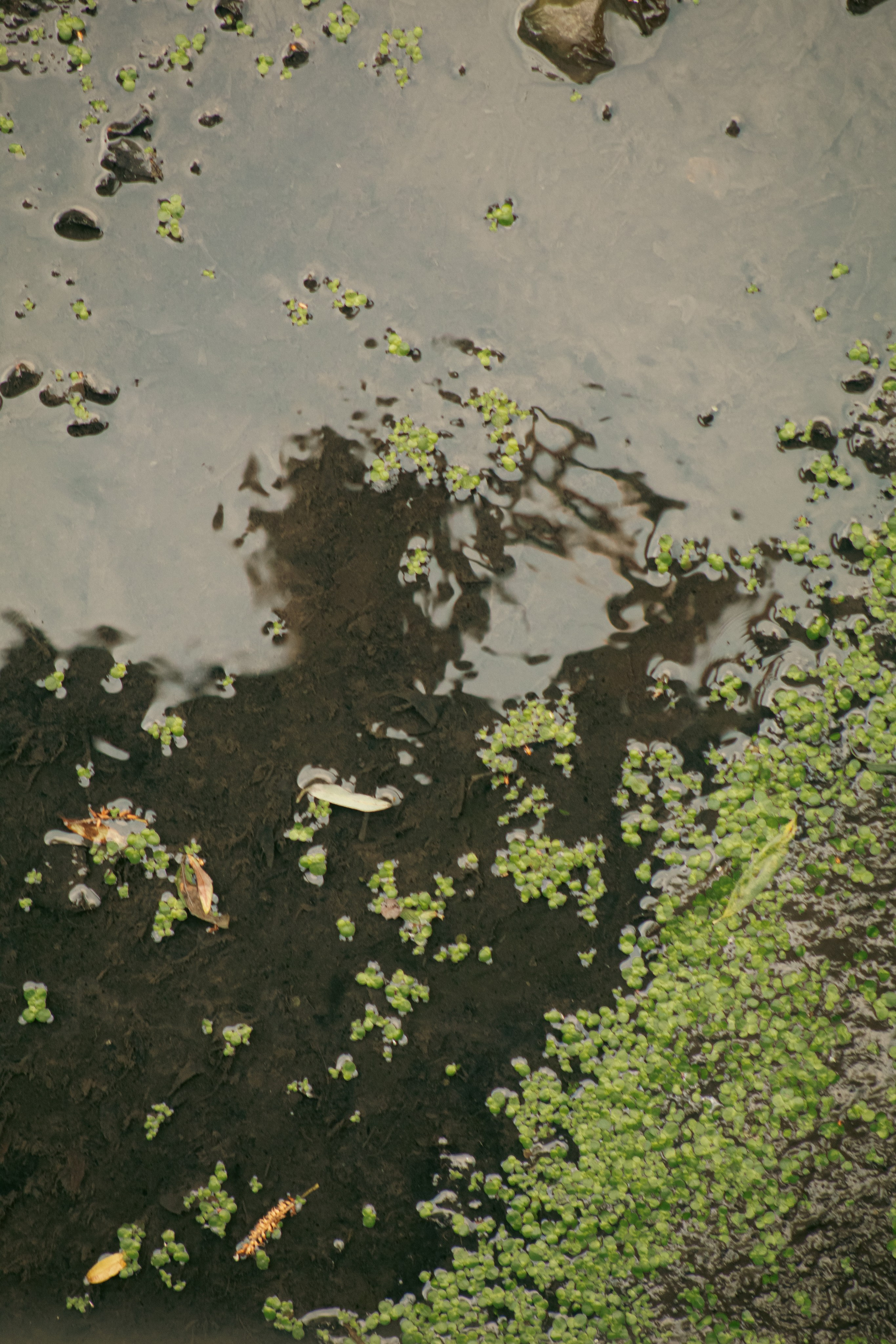 Лето 2024. Dmitriy [KCCC] is a pretty cool photographer