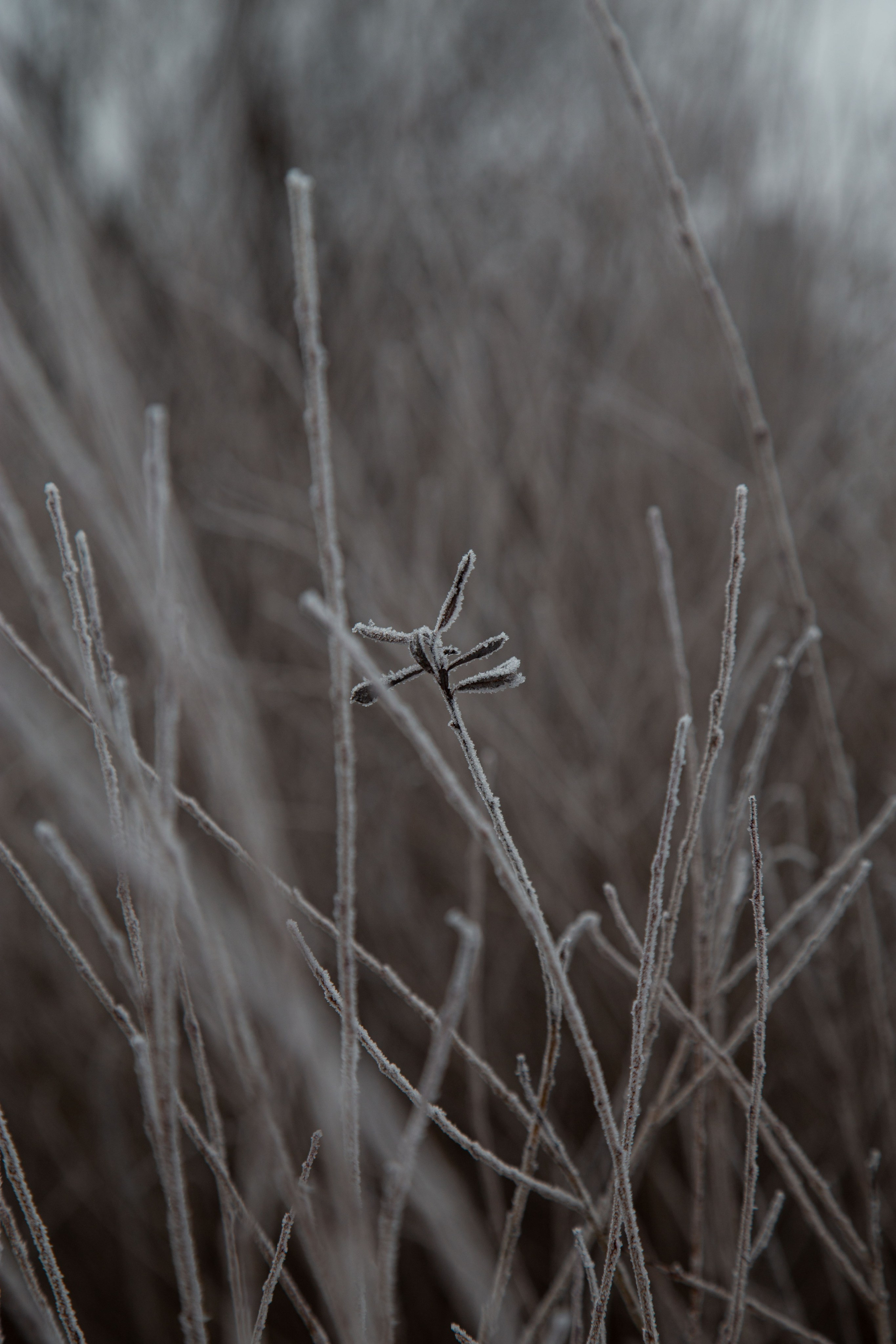 Воздух февраля. Dmitriy [KCCC] is a pretty cool photographer