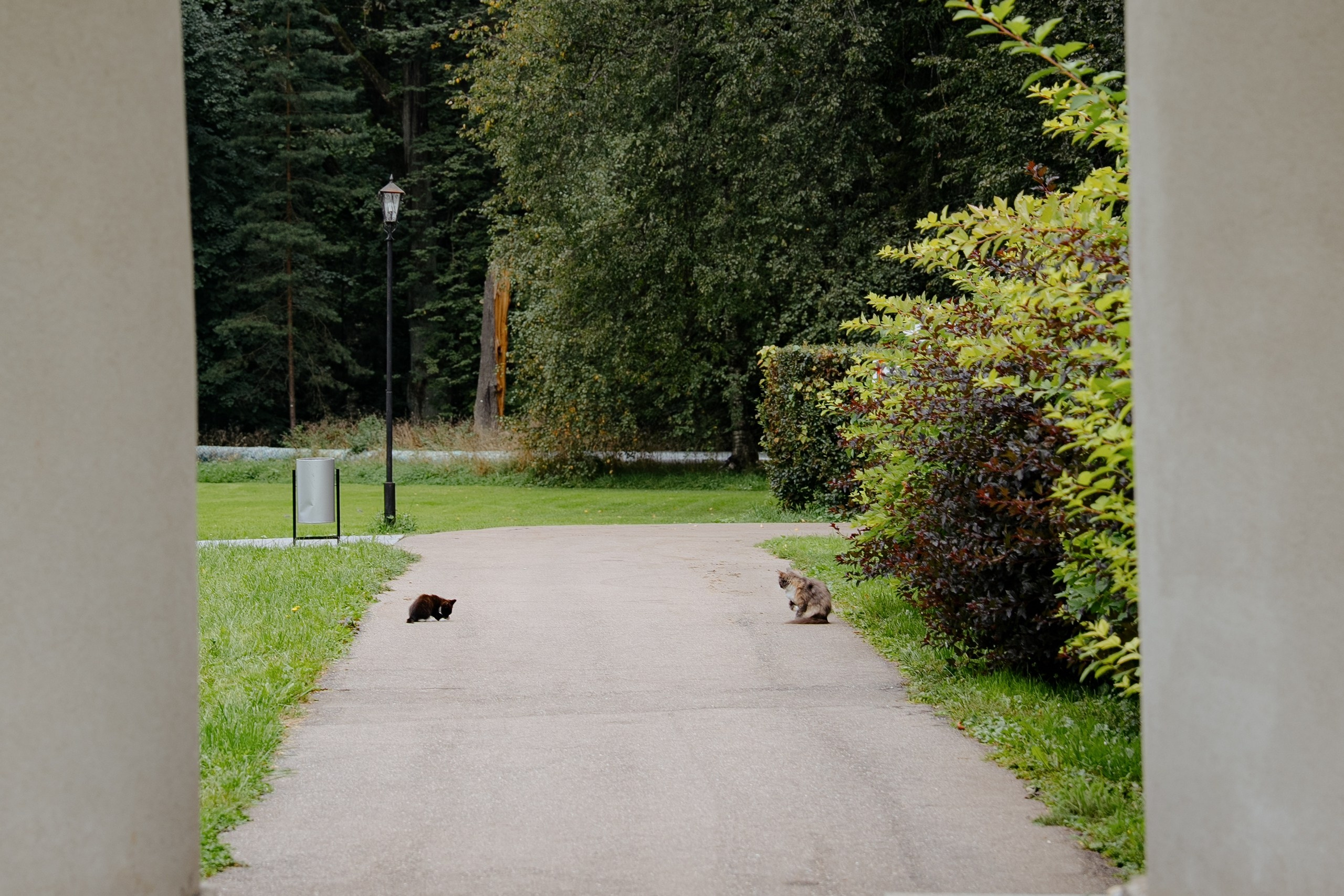 Иван и Ульяна