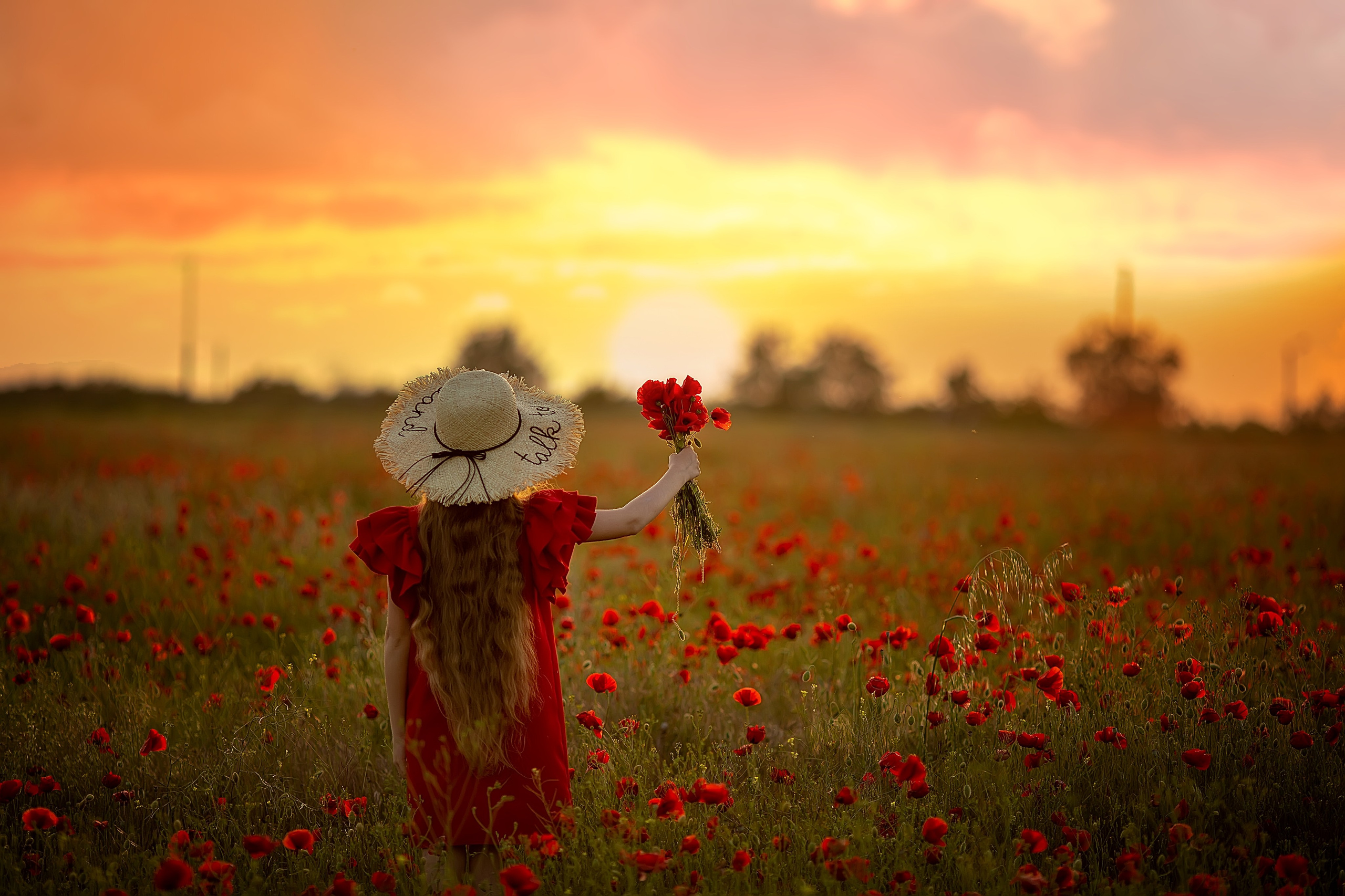 Фотосессии. Ваш личный фотограф OLGA HOLI