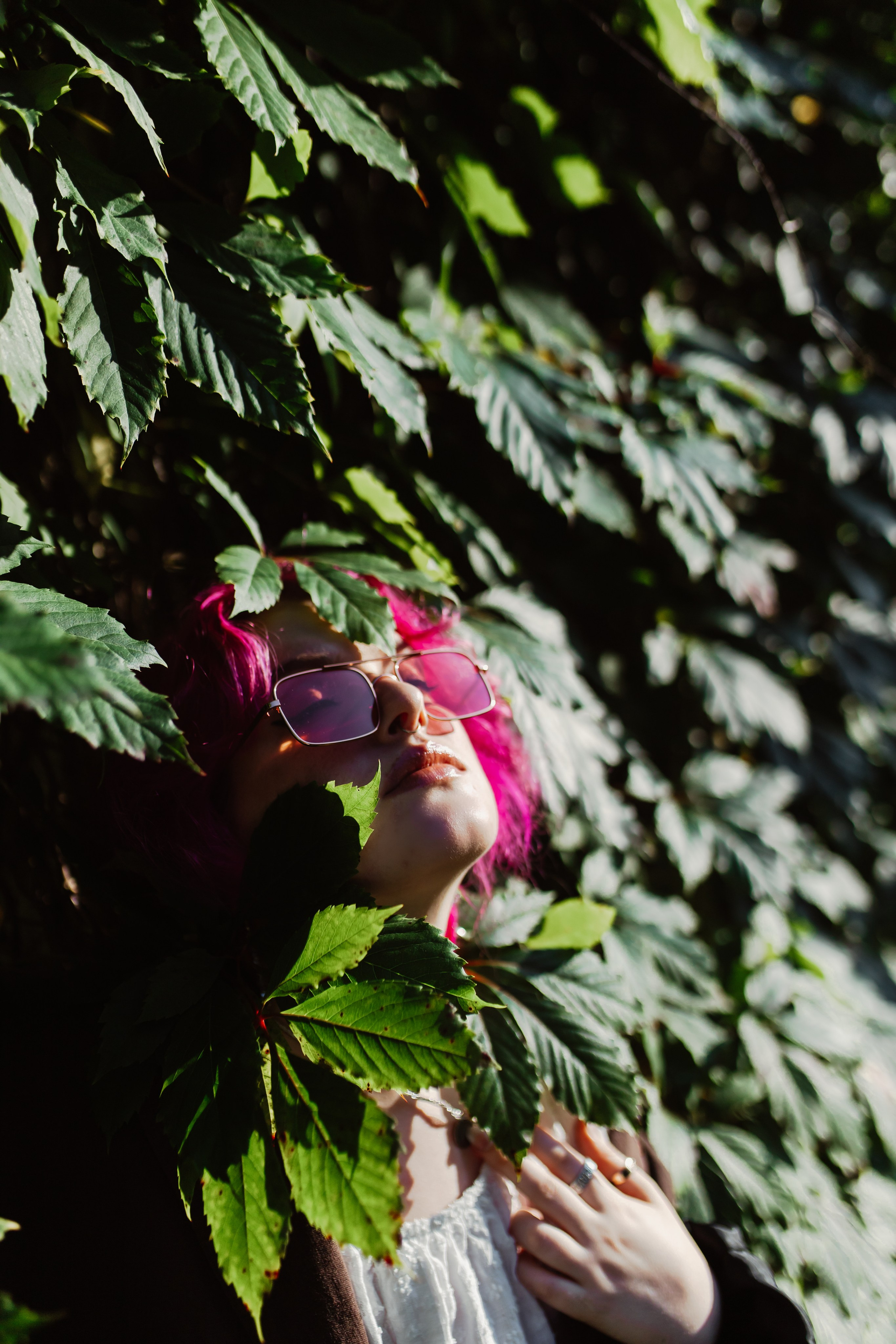 Жизнь в розовом цвете. Фотограф Амалия Ахмедова, Калининград