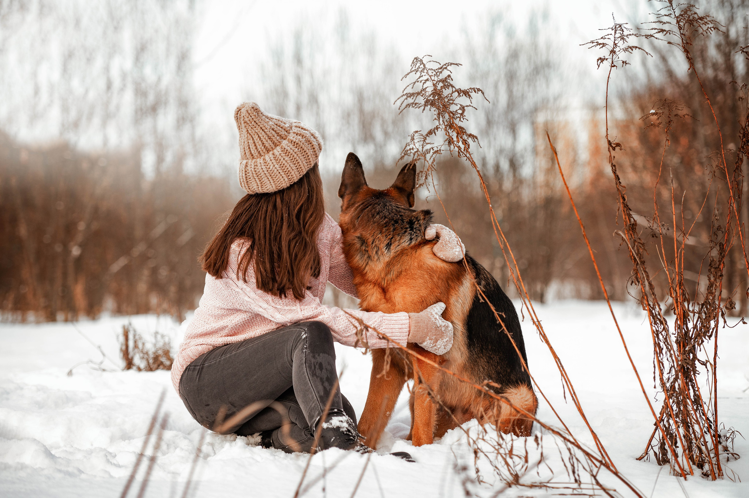Вольт. Фотограф-анималист