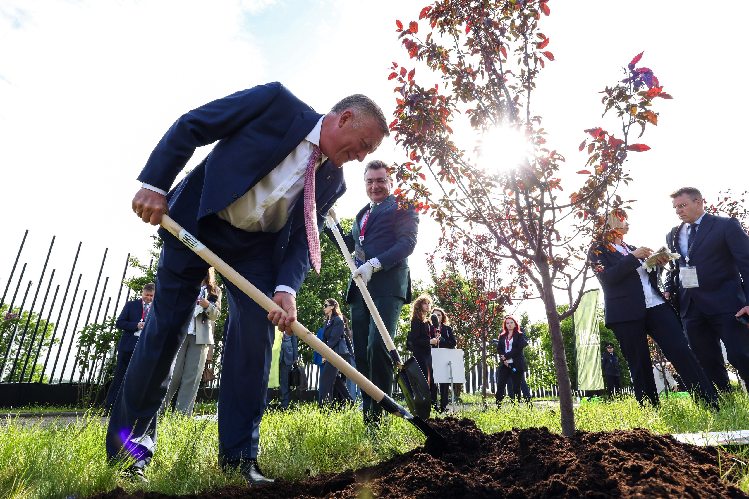 Политика. Егор Тутубалин