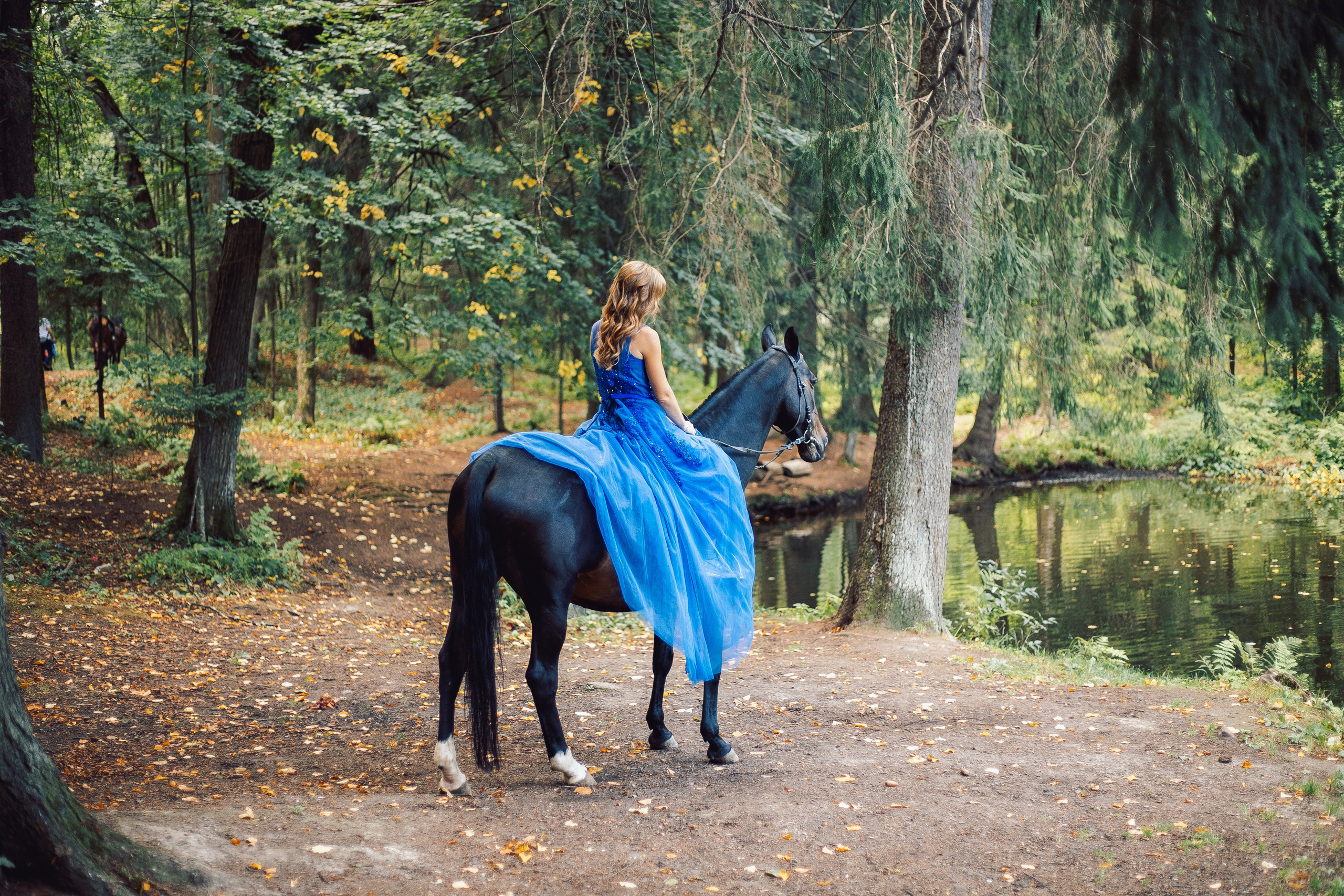 Фотосессия с лошадьми в СПБ. Фотограф в Санкт-Петербурге, Анна Скворцова