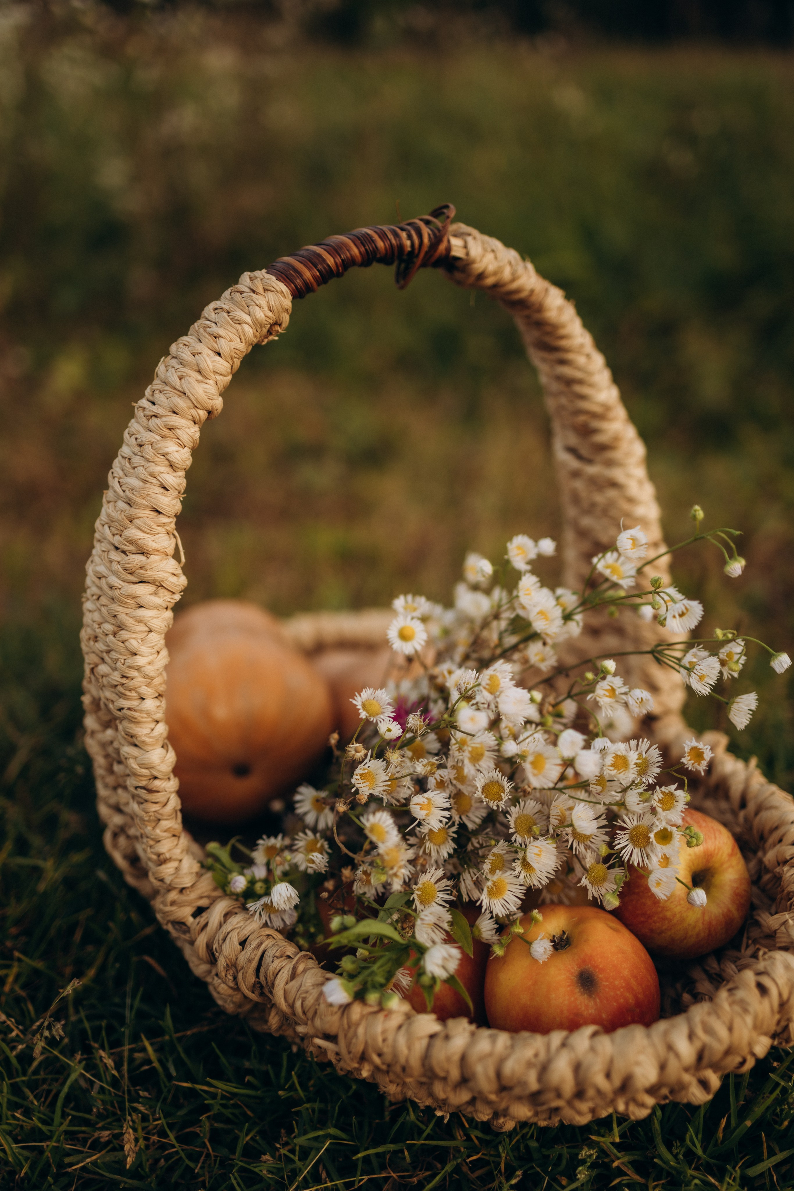 Семейная фотосессия (15.09.2025 г.) г. Жуков (Калужская обл.). Надежда Стар семейный и церковный фотограф в Жукове и Калужской области