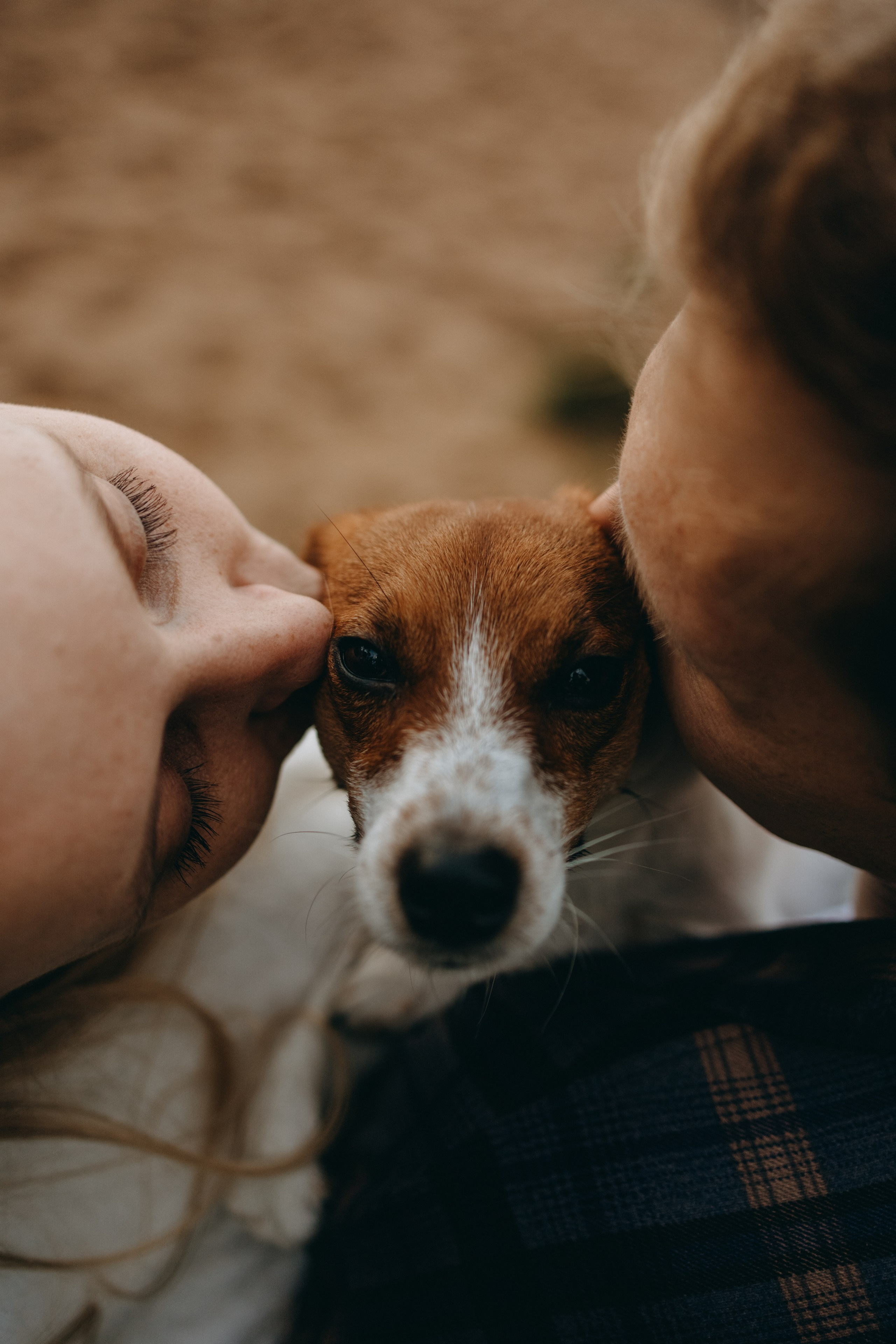 Лея и ее семья. Фотограф — Анималист | Санкт-Петербург