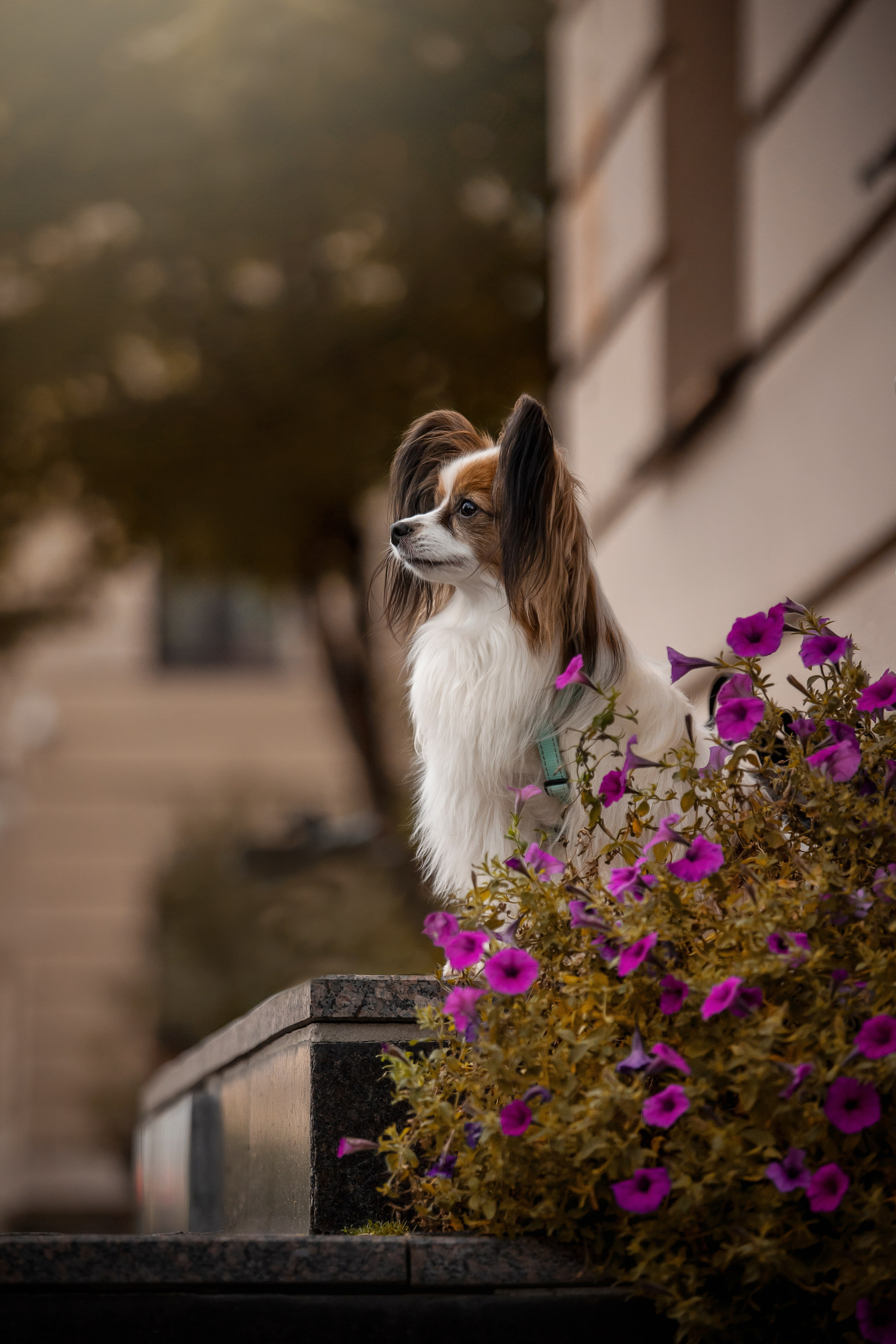 Ваня и его семья. Фотограф — Анималист | Санкт-Петербург