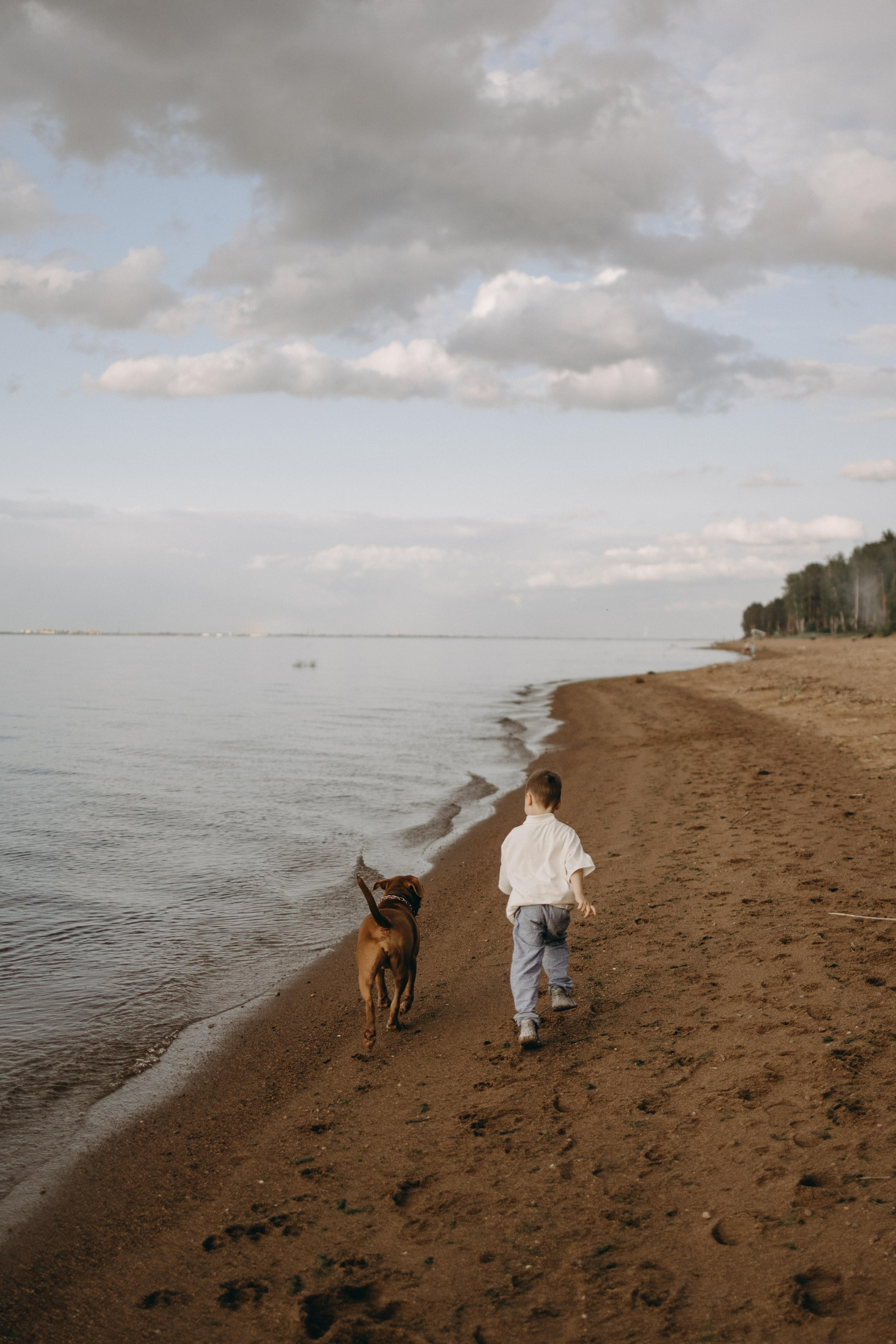 Бонни и ее семья. Фотограф — Анималист | Санкт-Петербург