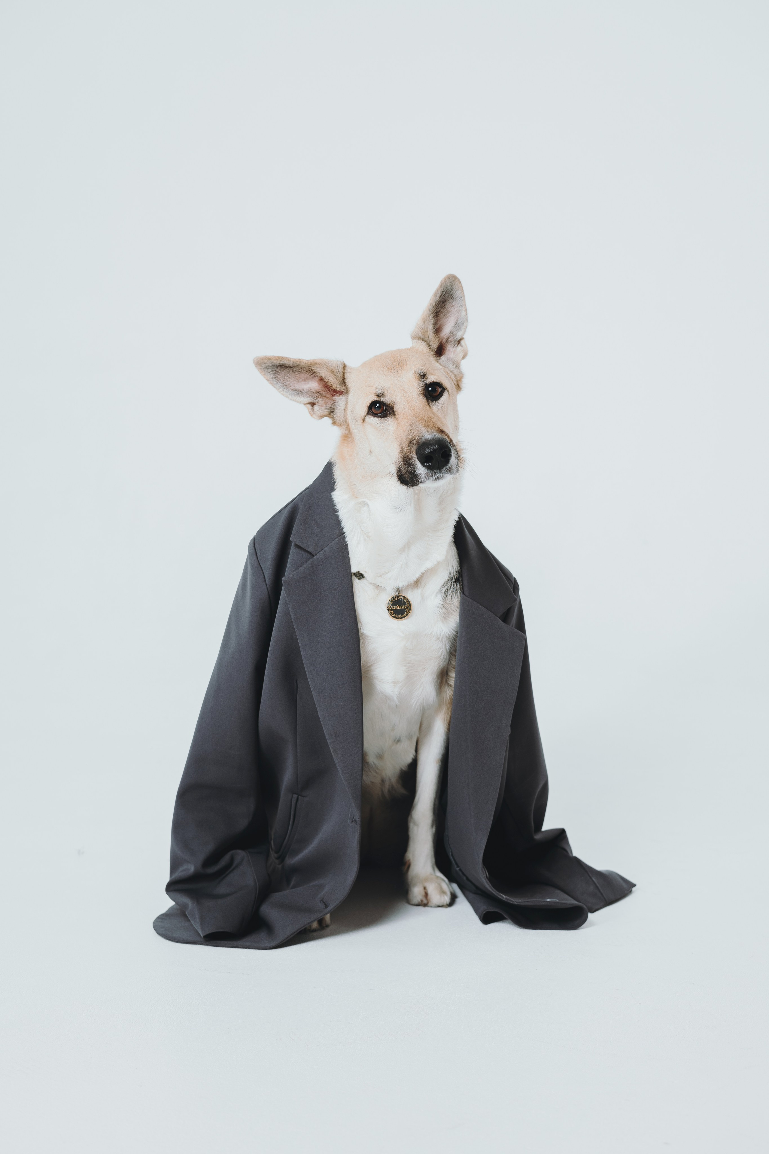 Анна и Бейлис. Фотограф — анималист Владивосток, Алина