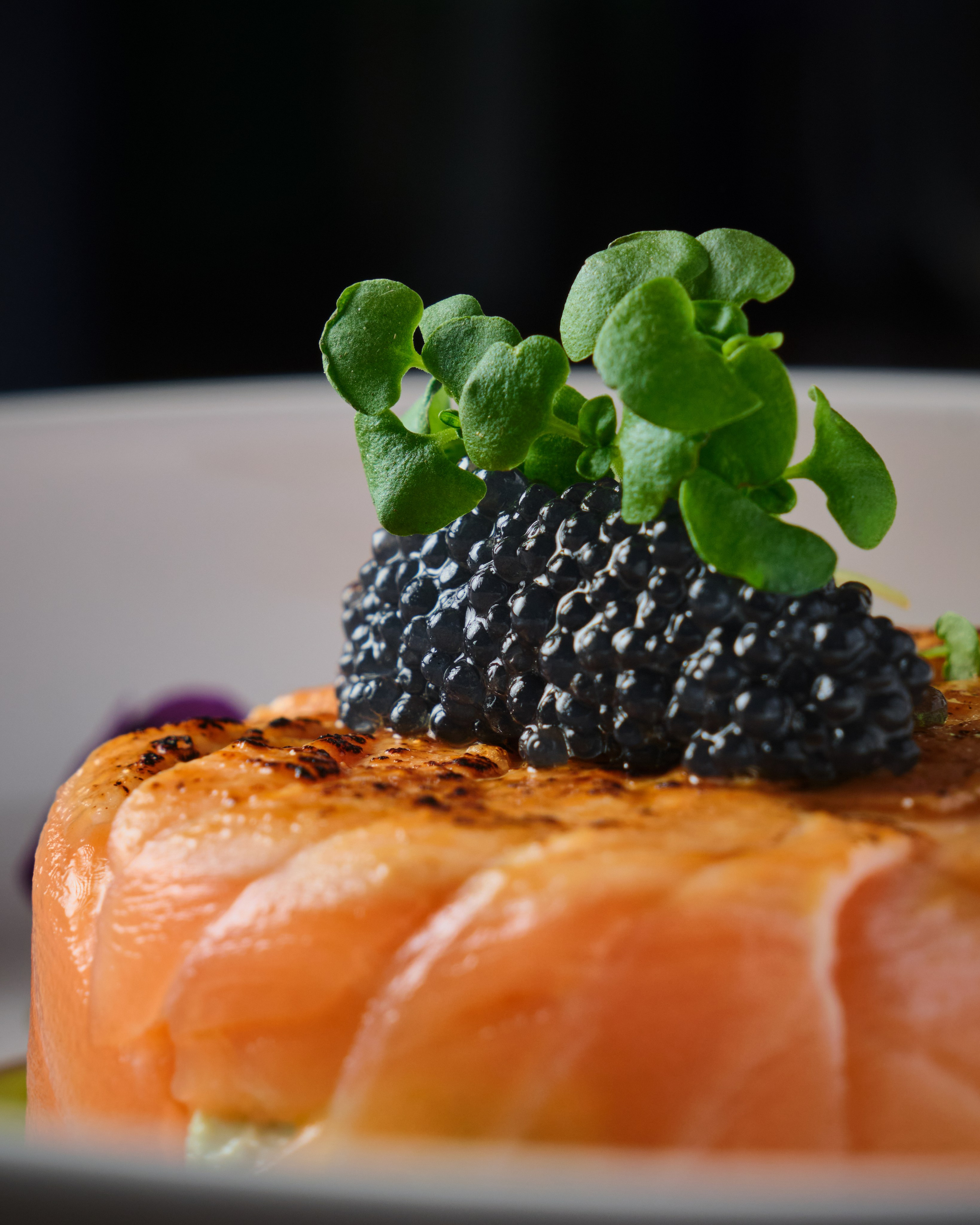 Karaoke Extaz. Коммерческий фотограф Астана. Fashion съемка Food съемка, Reels