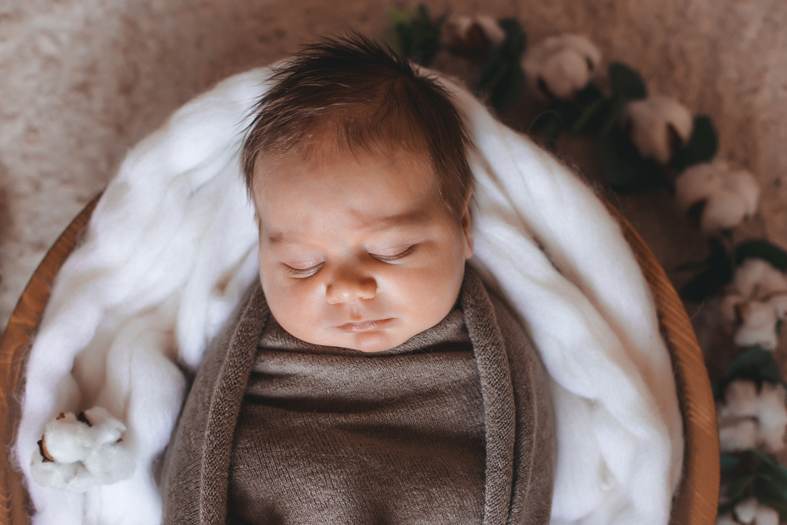 Новорожденные. Главная