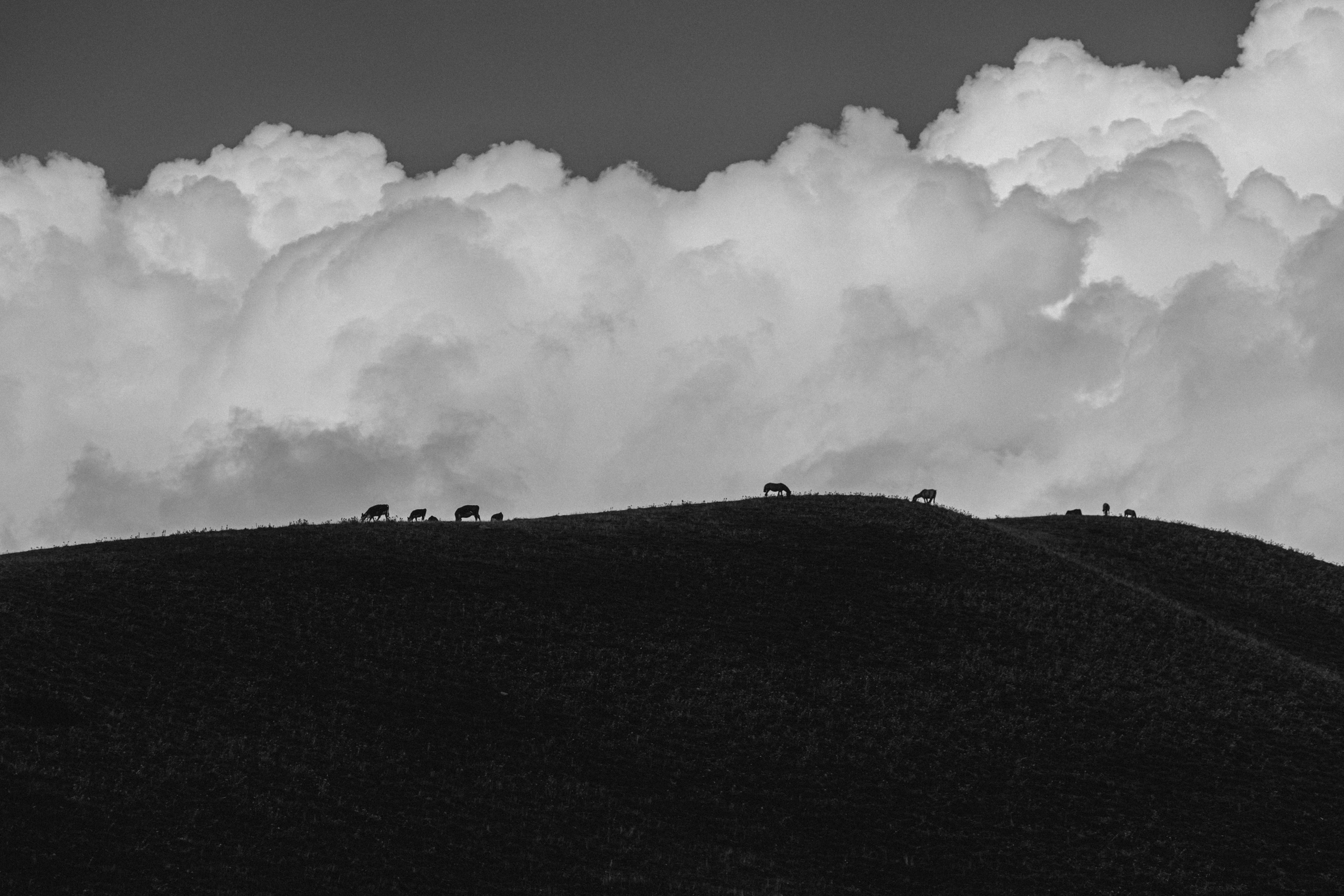 Плато Ассы. Экскурсии и туры по Алматы