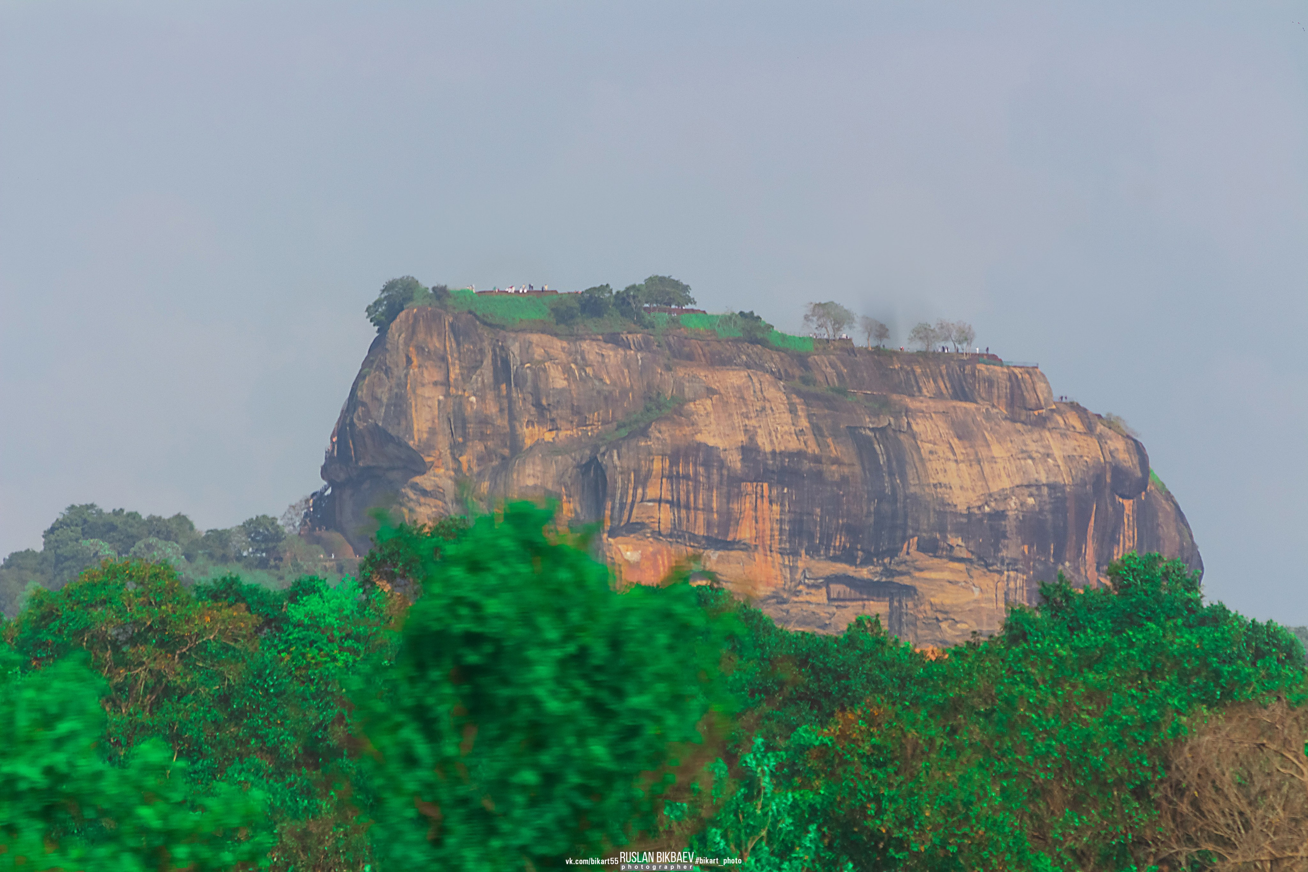 ШРИ-ЛАНКА 2025 / SRI LANKA 2025. Главная