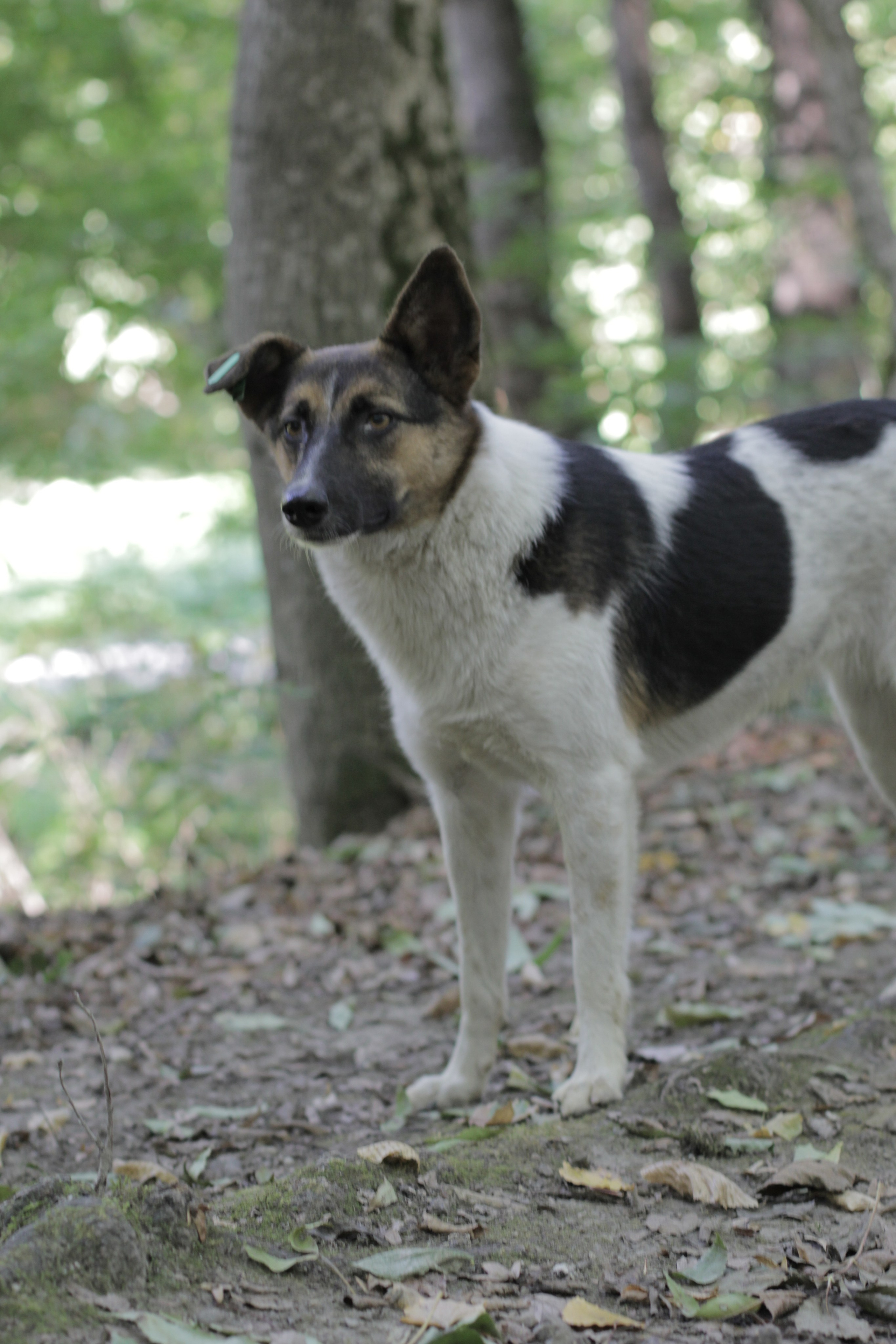 Горячий Ключ (2024-09-22). Собор Отрасли