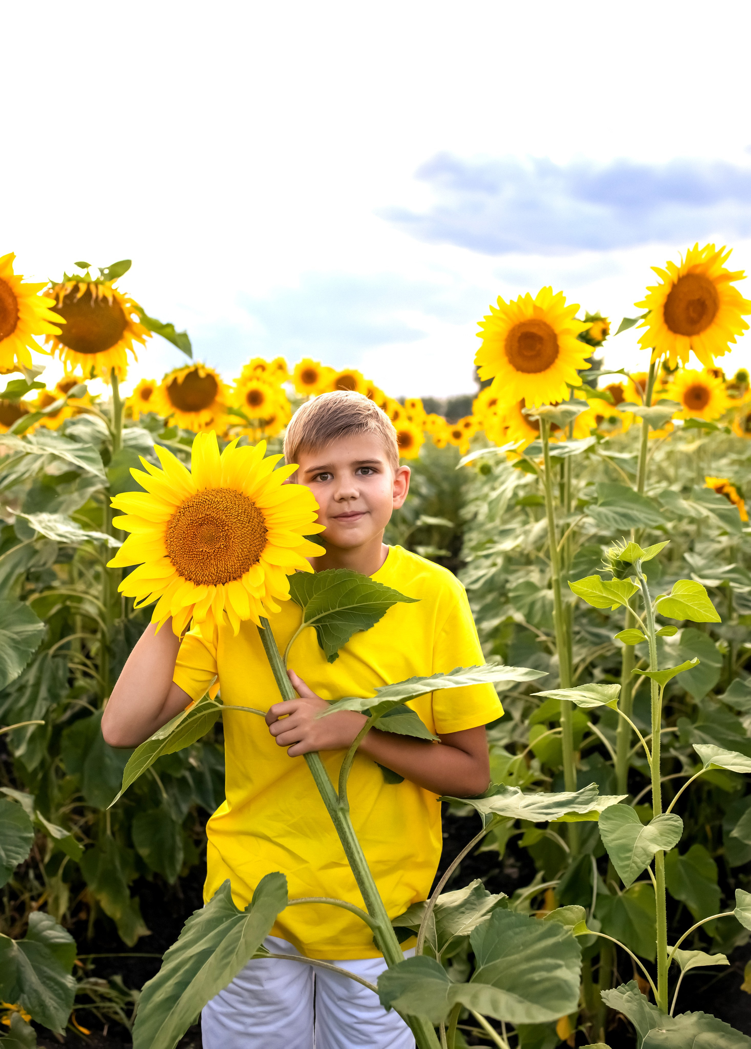 В подсолнухах однажды летом. Ольга Смирнова юрист, фотограф