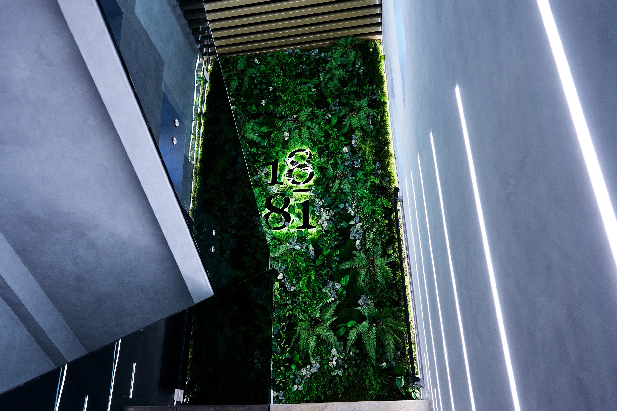 Интерьерная съемка 1881. Фотограф в Хабаровске