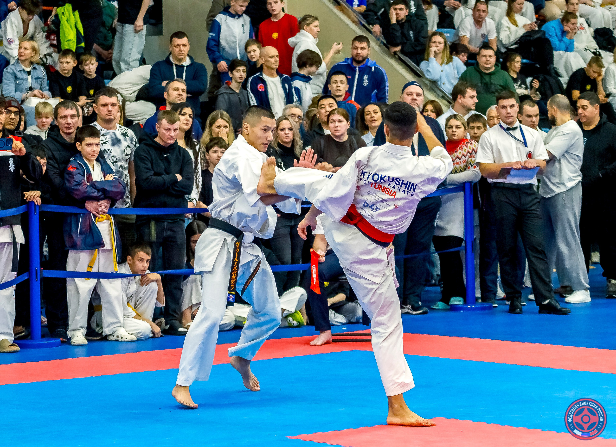 Международный турнир по киокушин «Открытый кубок Seiken». Репортажная съемка в Москве и области. Анималистика