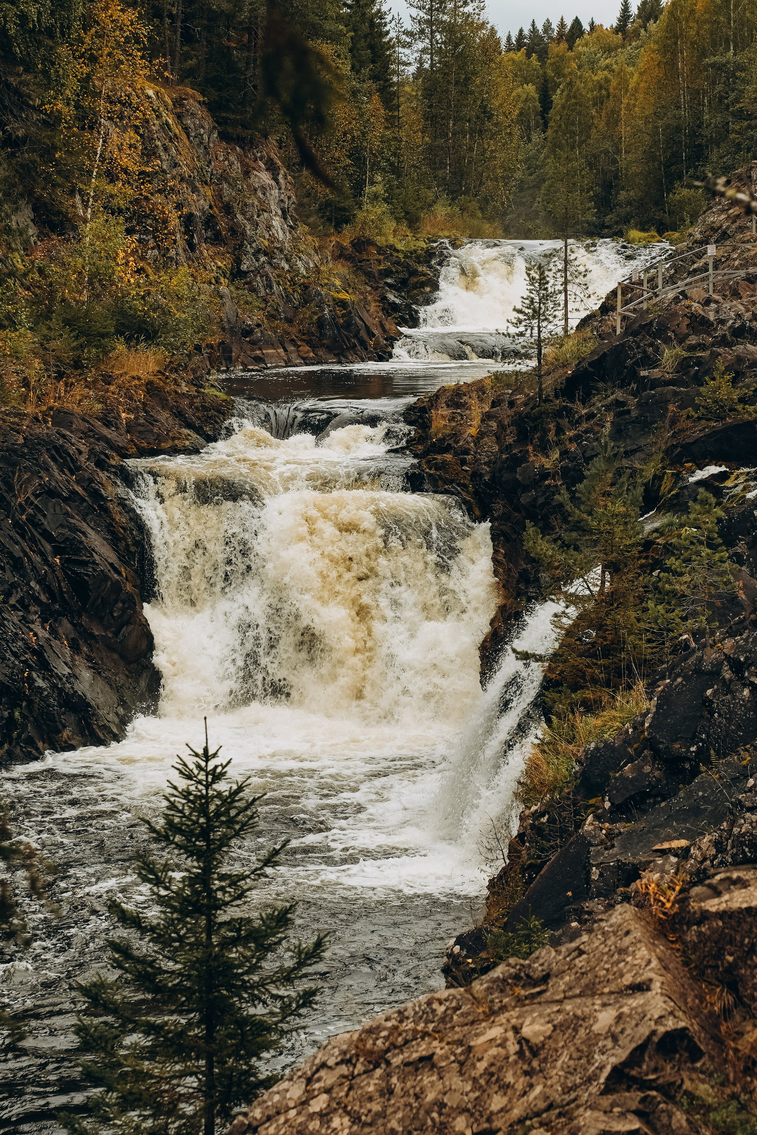 СЕВЕР. Event фотограф Степанова Александра