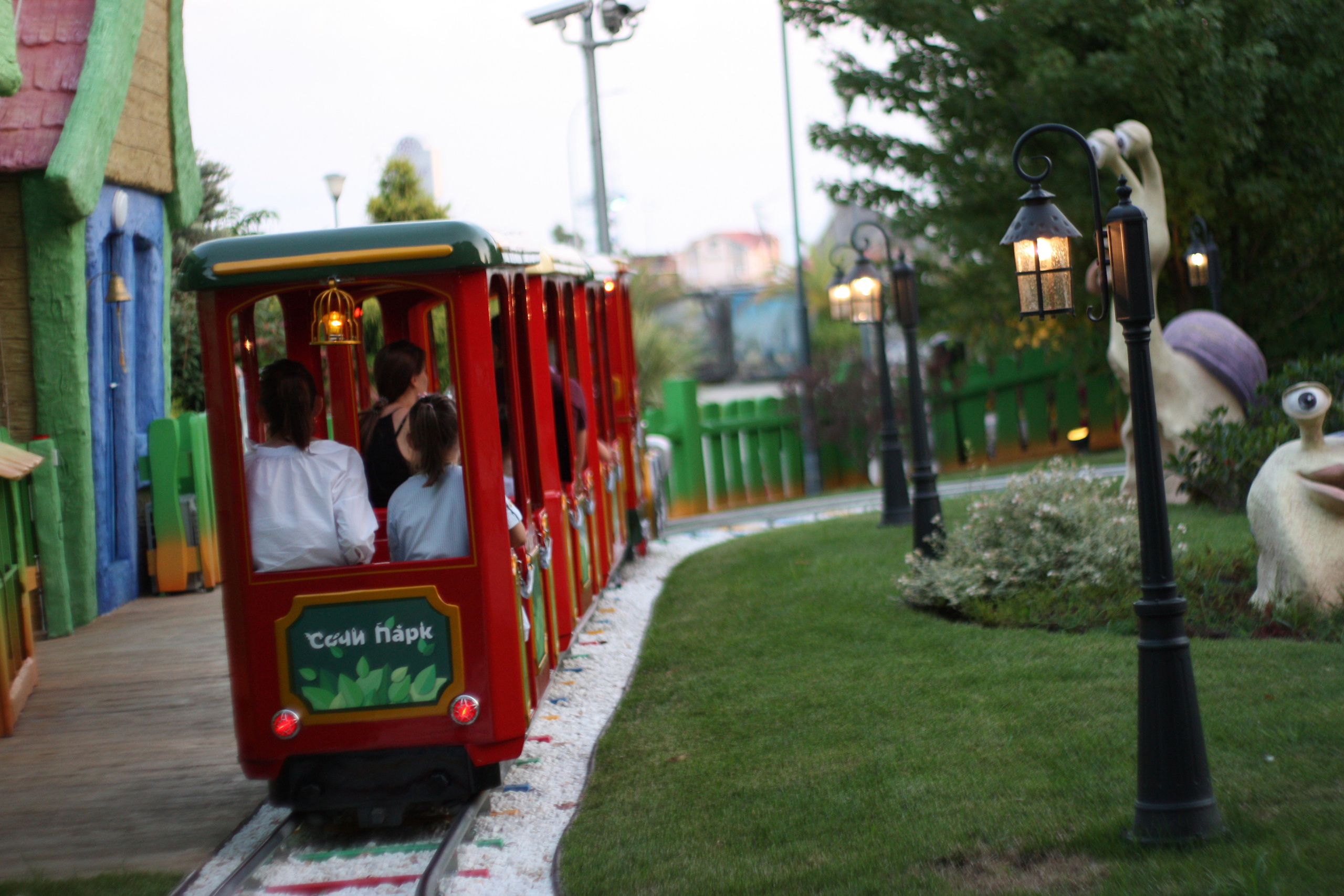 Первые кадры. Сочи — парк. Фотограф Роман Адлер