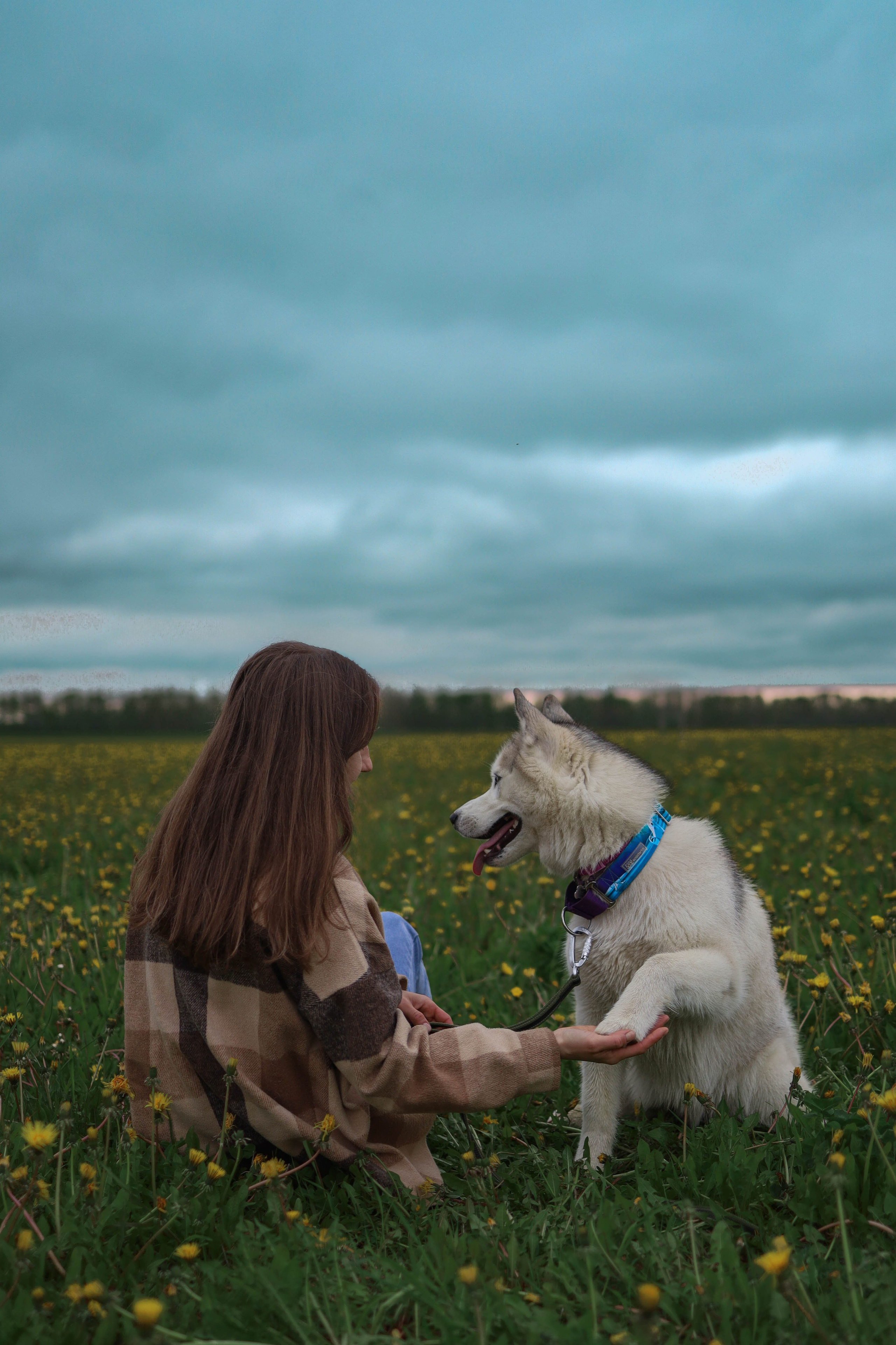 Шанти и Катя. Фотограф-анималист в Санкт-Петеребурге Титова Алиса