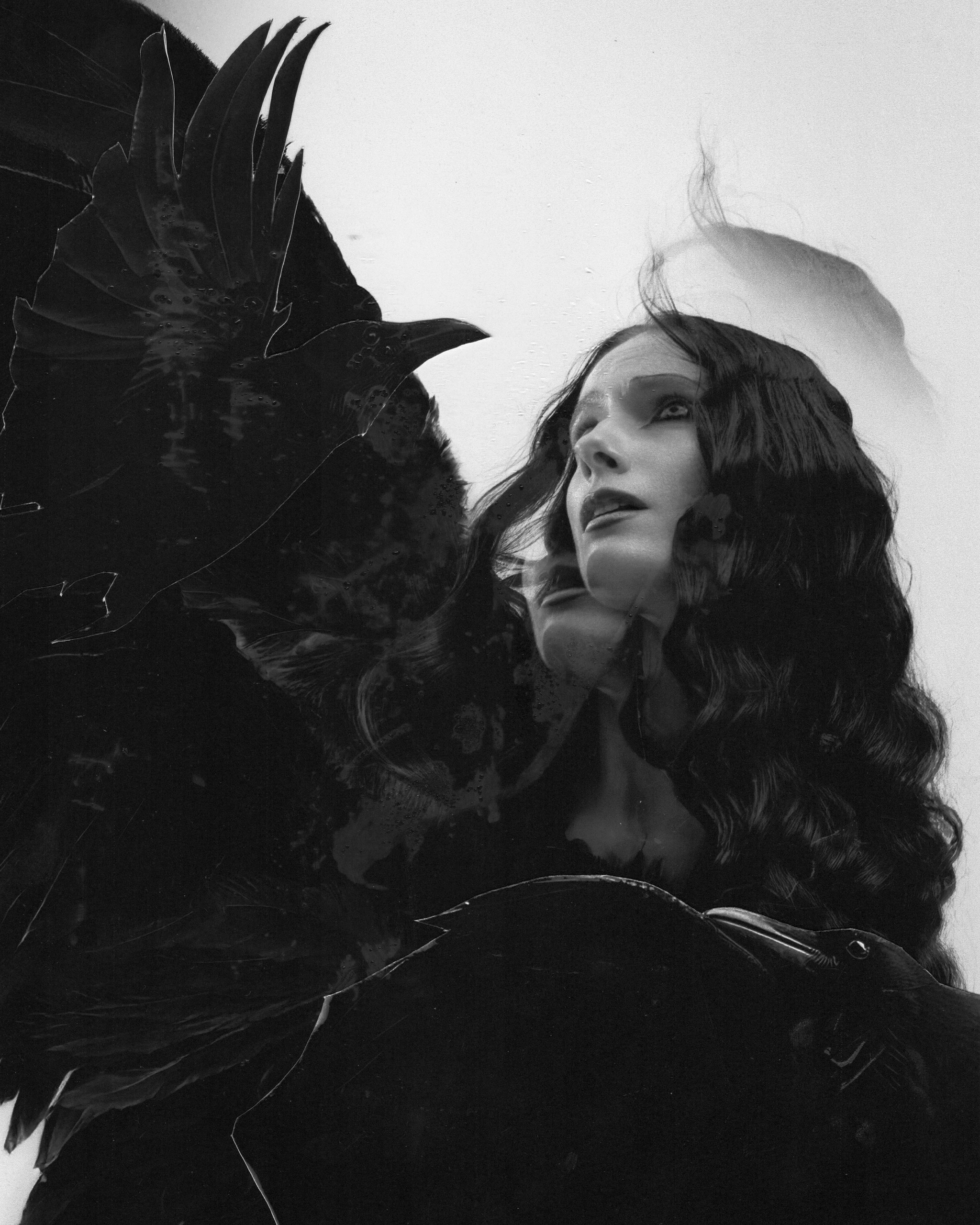 Bird. ГЛАВНАЯ