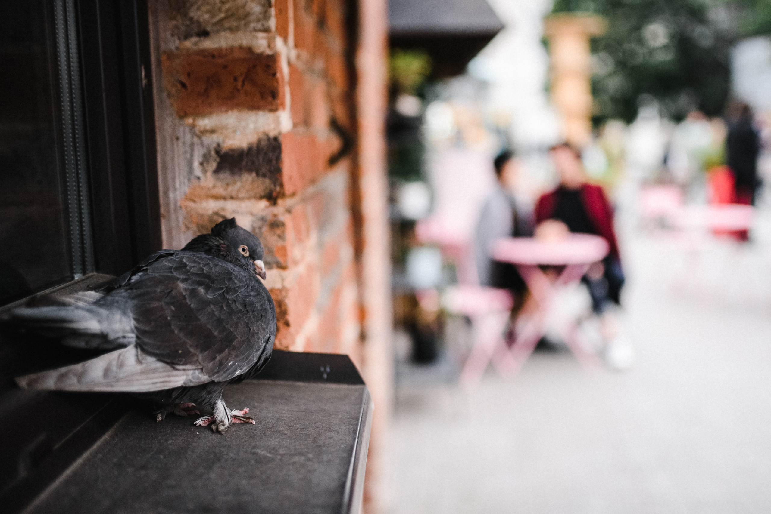 Wild angel. Свадебный и портретный фотограф Пётр Ладанов