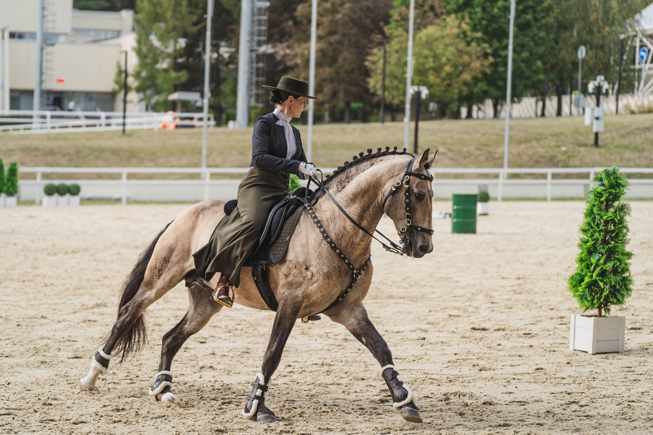 Мастер-класс по рабочей выездке. Фотограф в Москве Ленарская Дарья