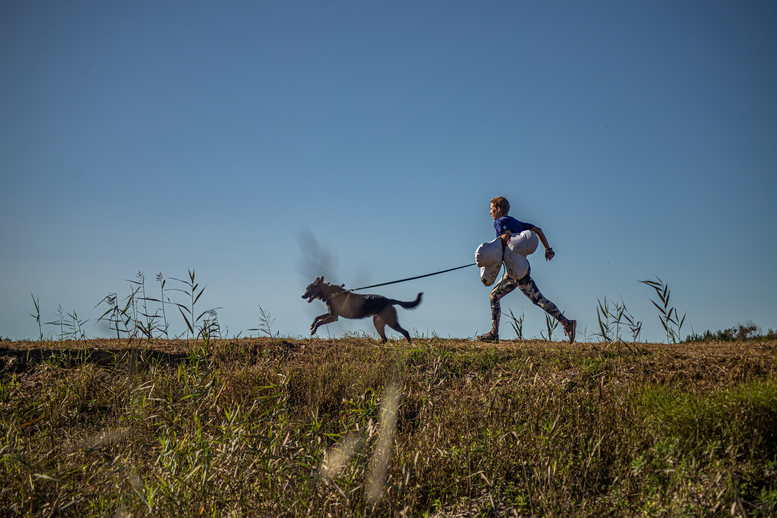 Dogtrail 2023. Уссурийск