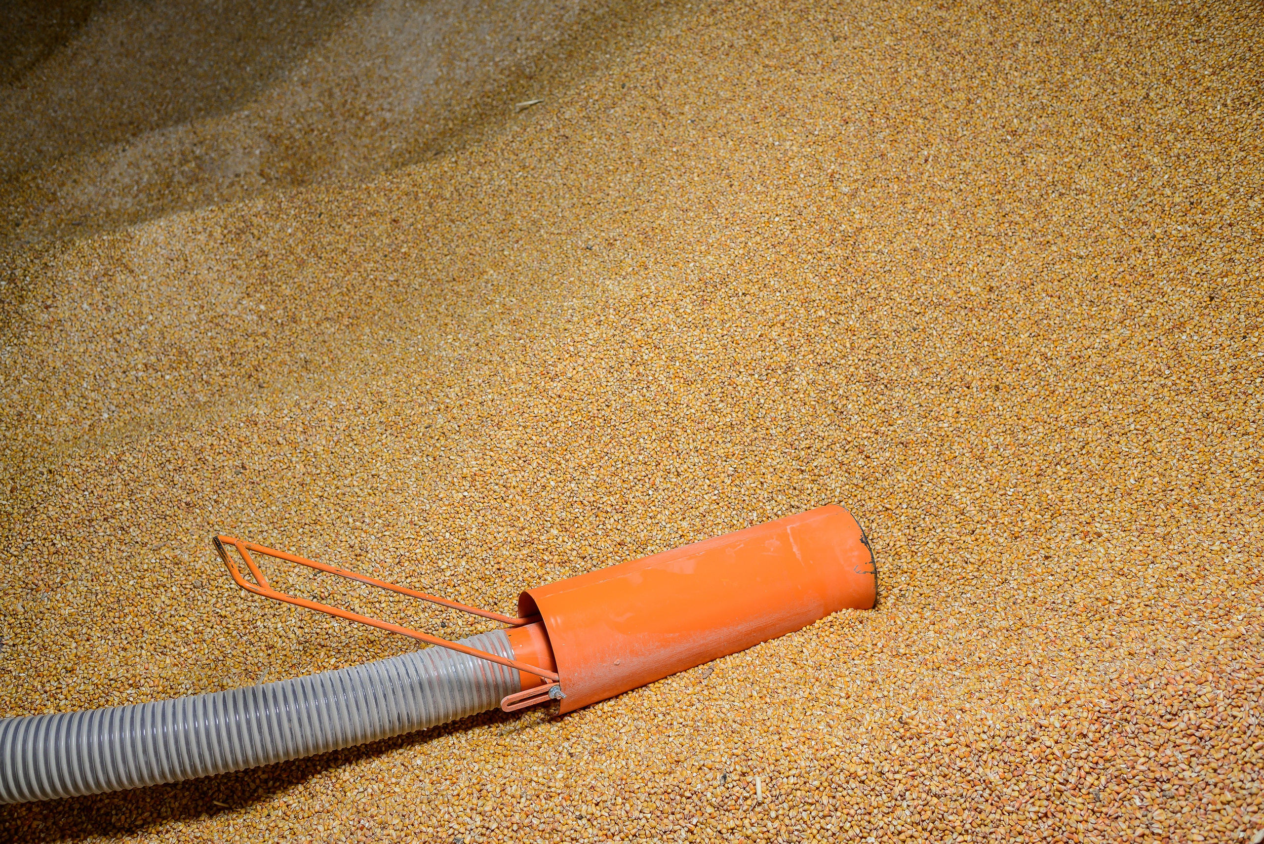 Производство комбикорма «ПрофАгроКорм»