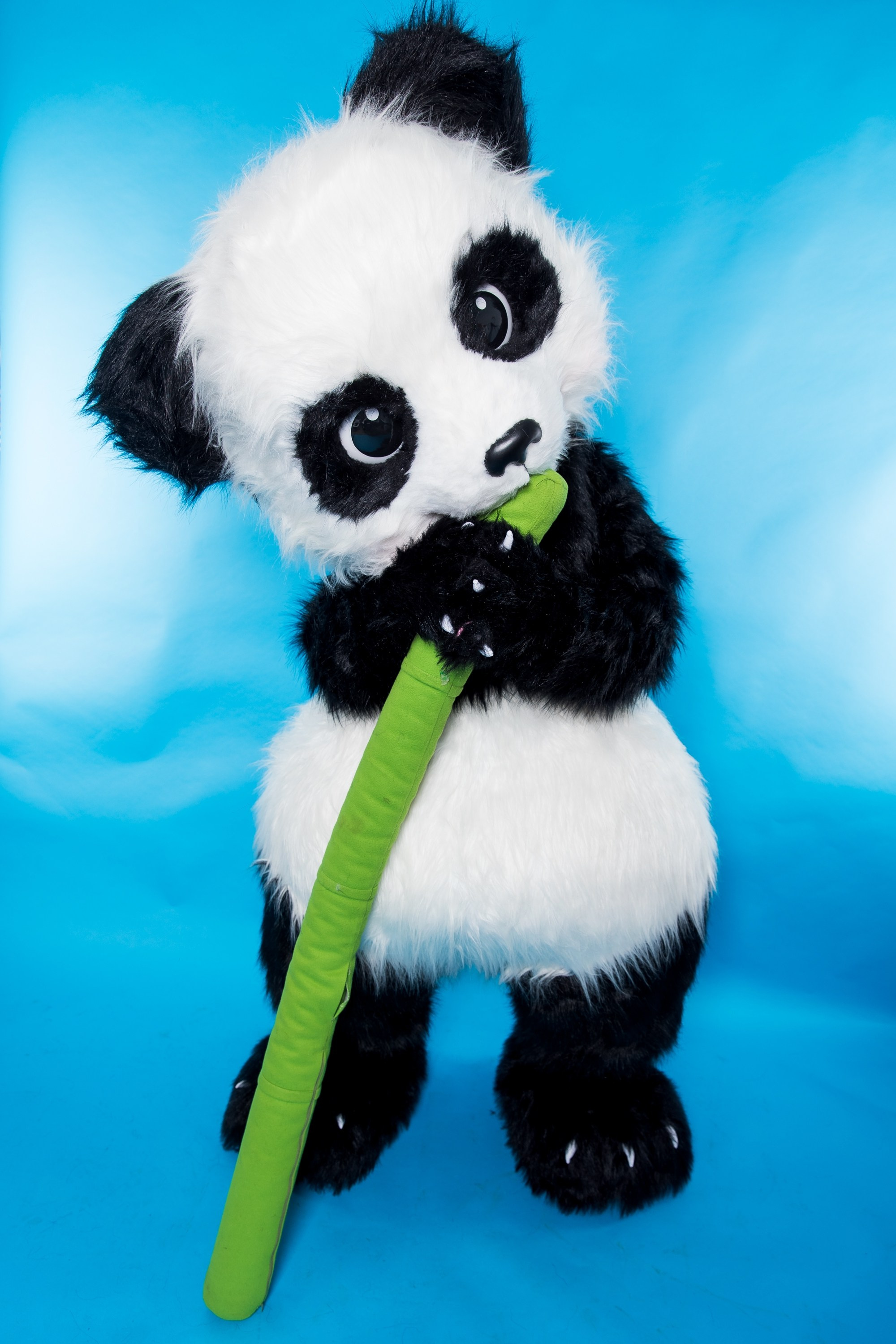 Студии. Фотограф в Москве Станислав Квасков