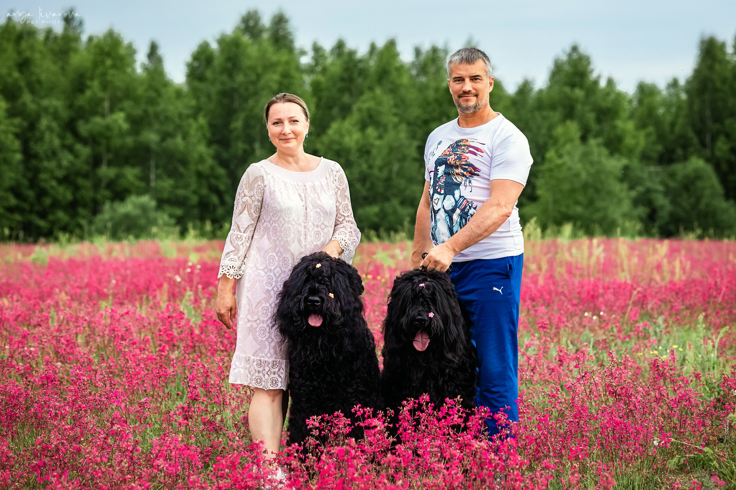 Смолка клейкая. Фотограф анималист Аня Ливанова | Рыбинск