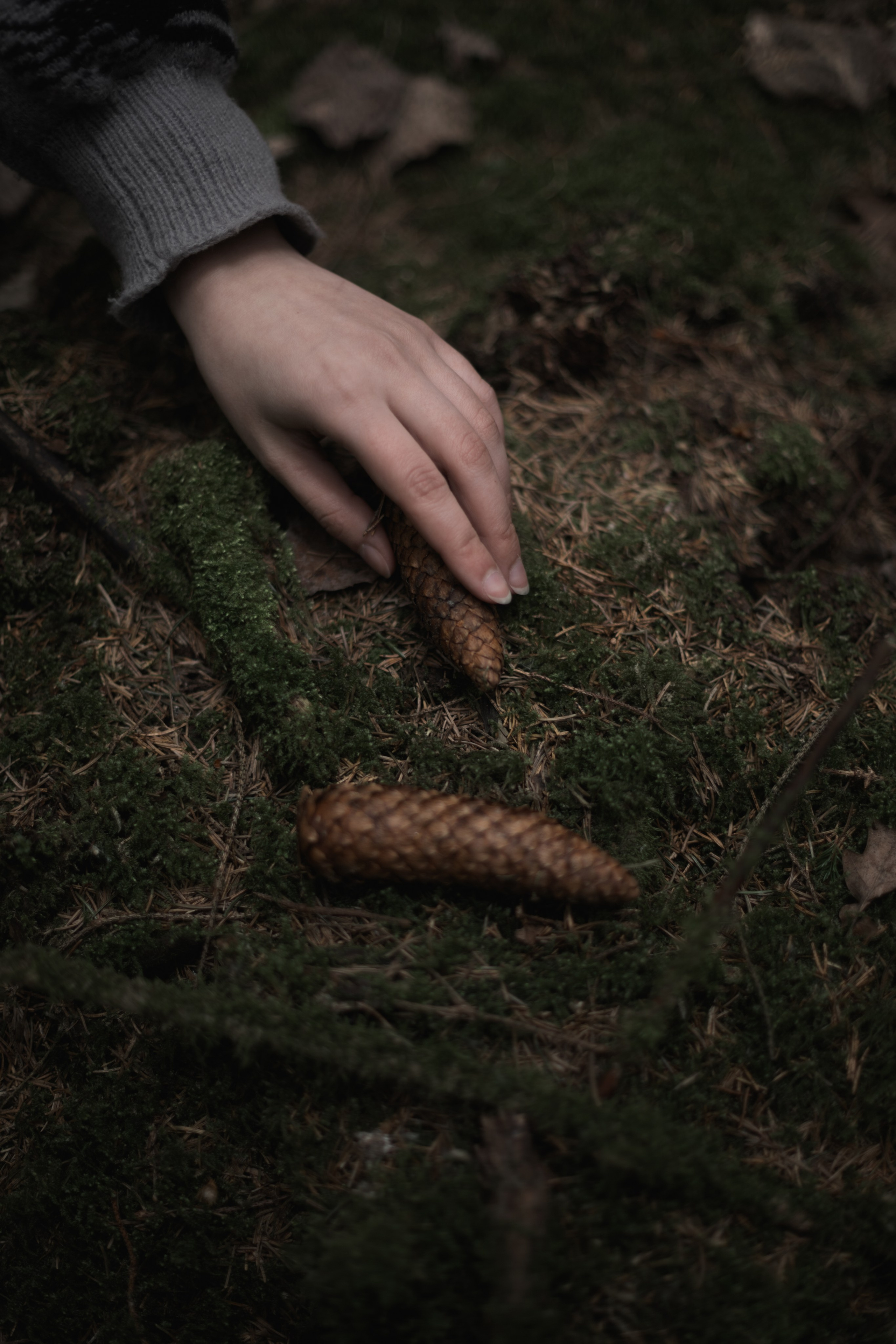 Полина Л — (Лесной массив). — Digital Noise —