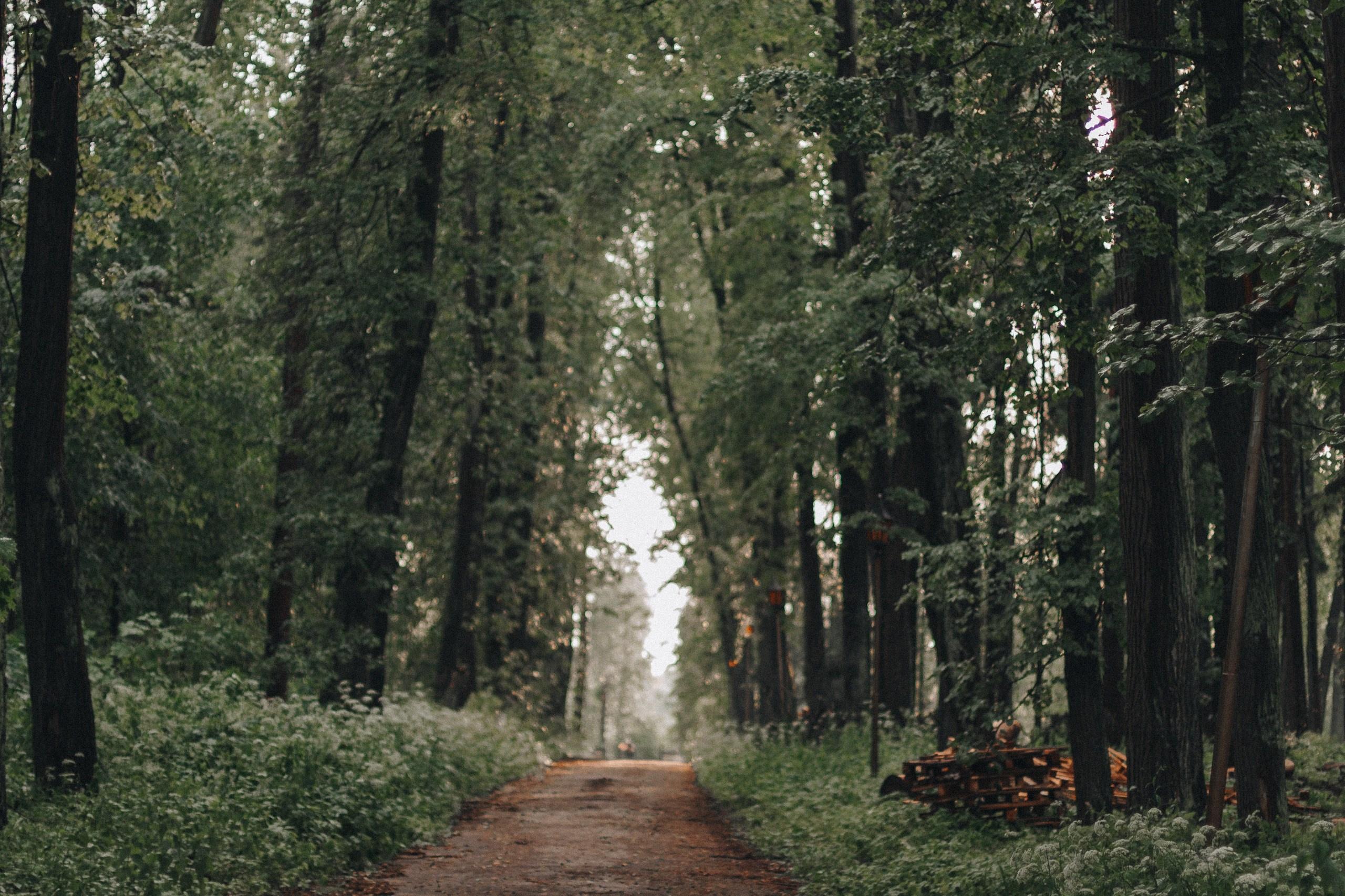 Шашлыки с ночевкой | 20-21.06.20. Галерея Фантим