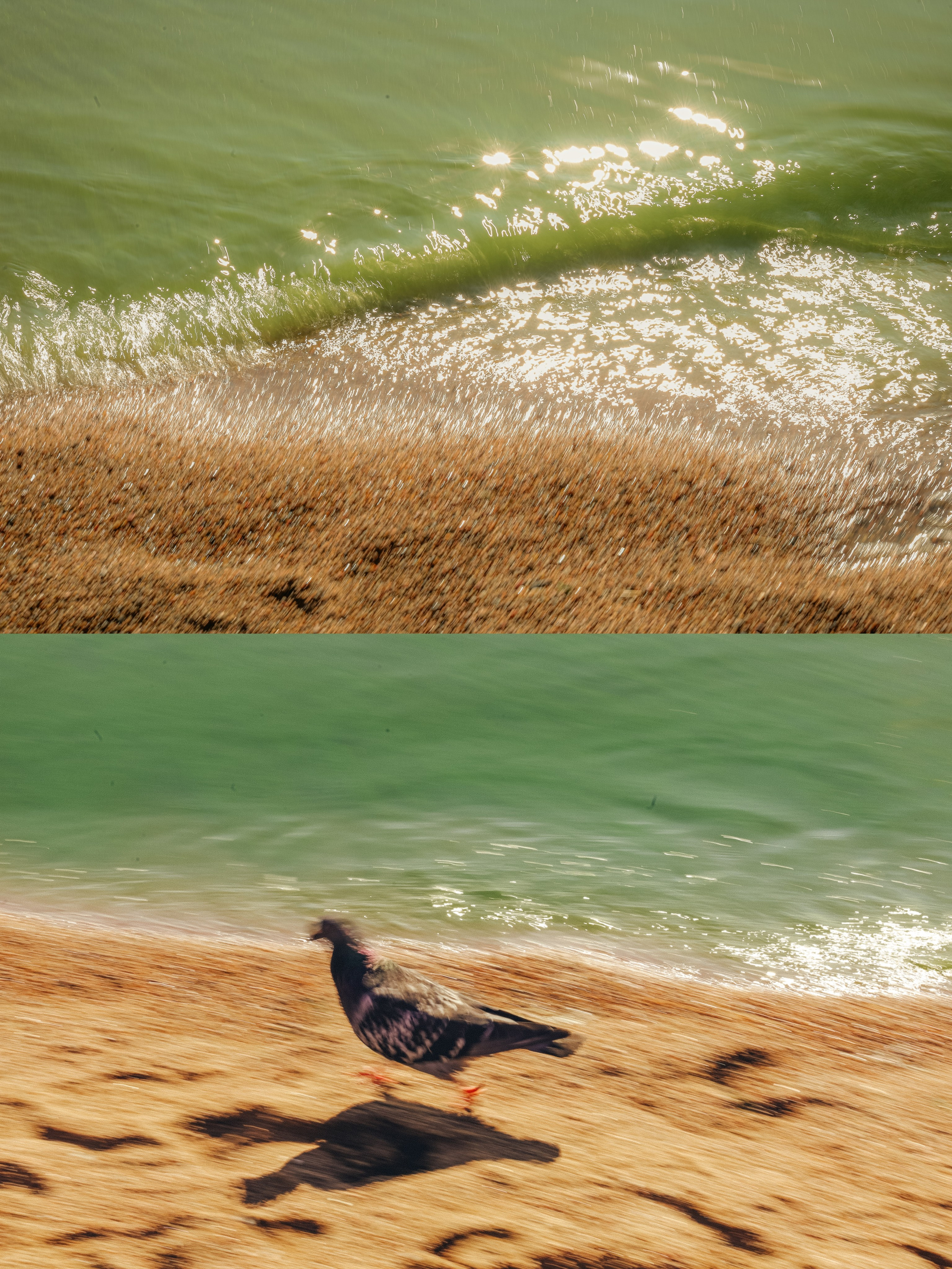 Природа &. Фотохудожник в СПб