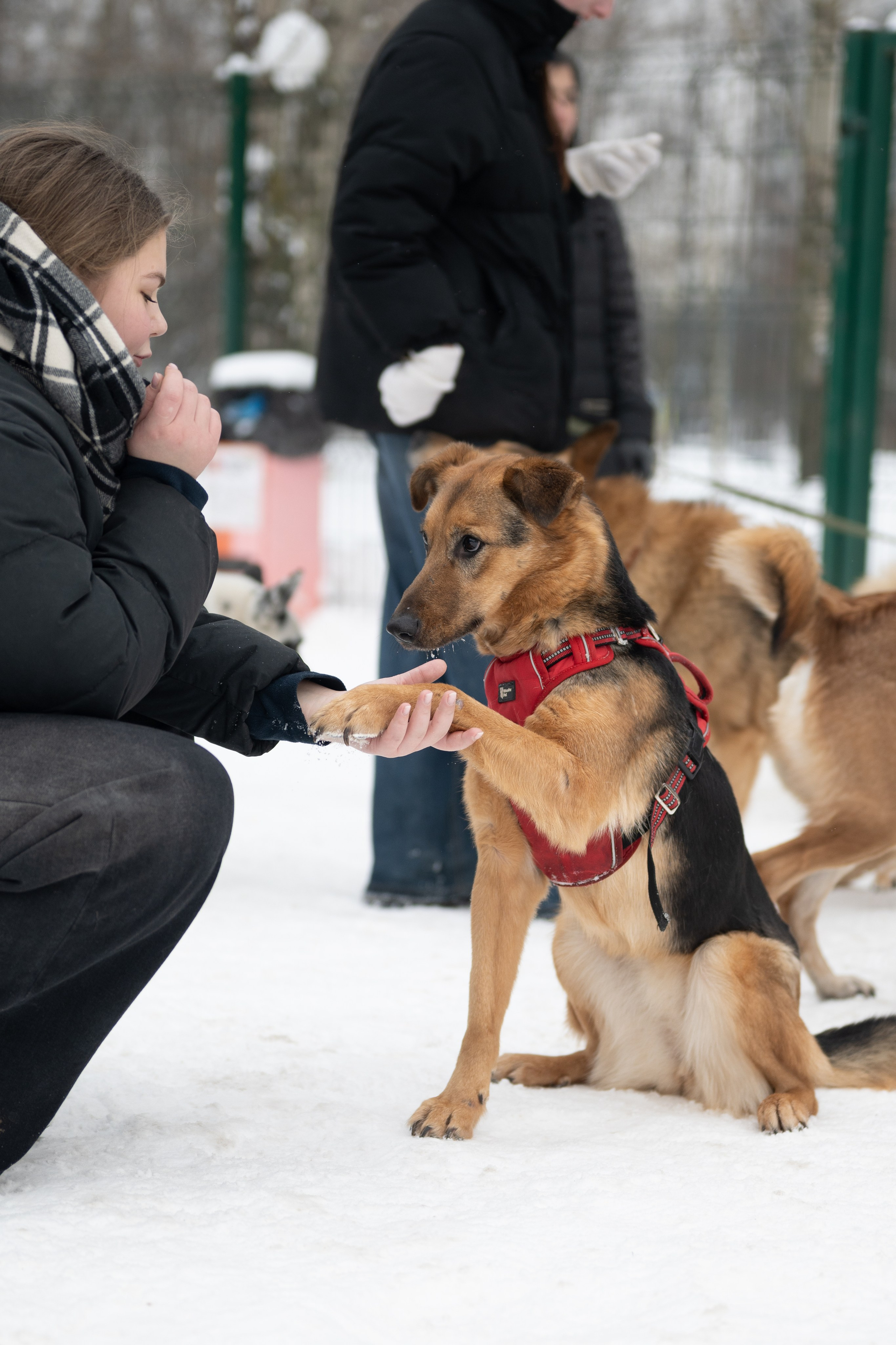 Приют «Искра». Фотограф и видеограф в Москве Анна Матюхина