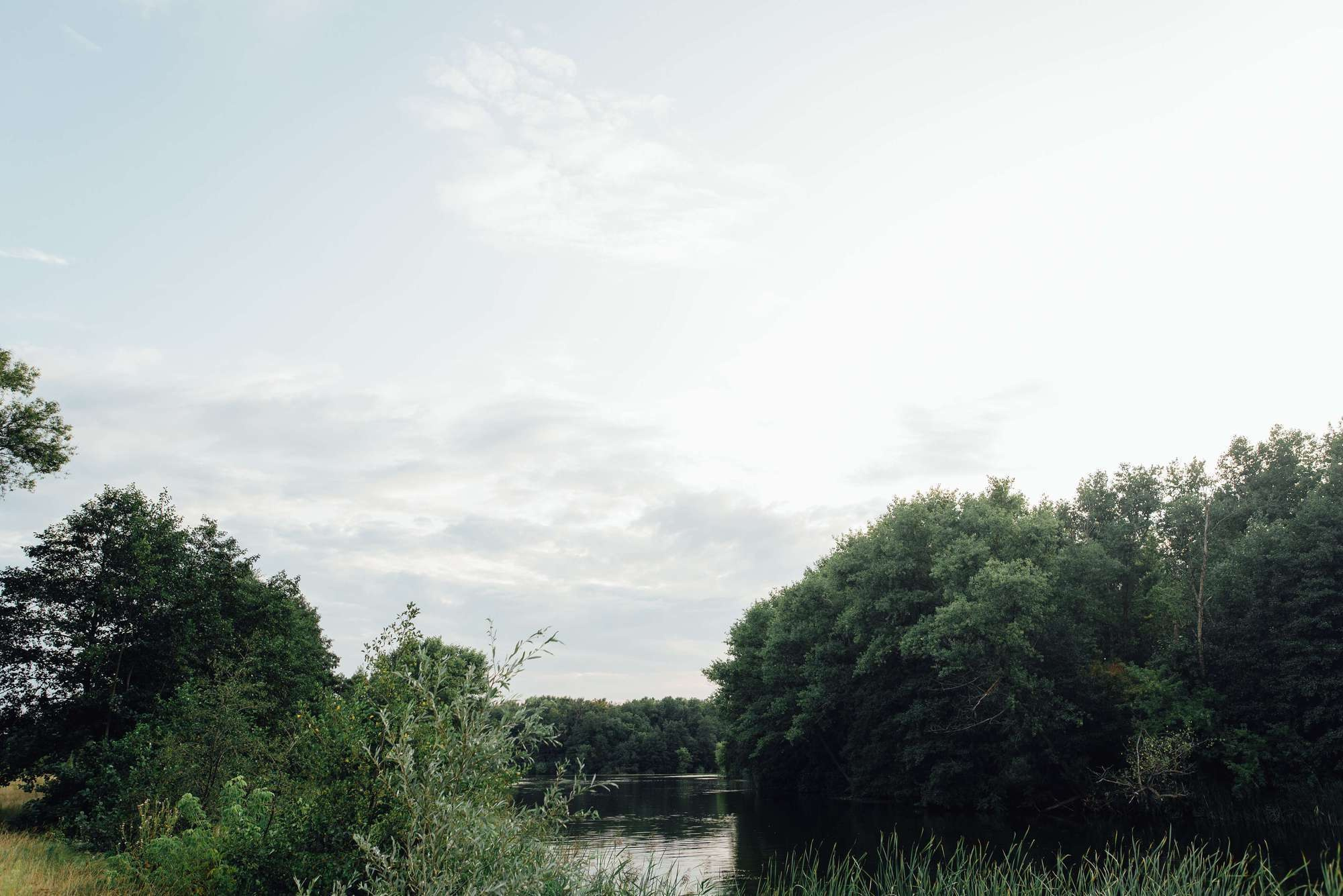 Катя и Тимур. Свадебный и семейный фотограф Тамбов