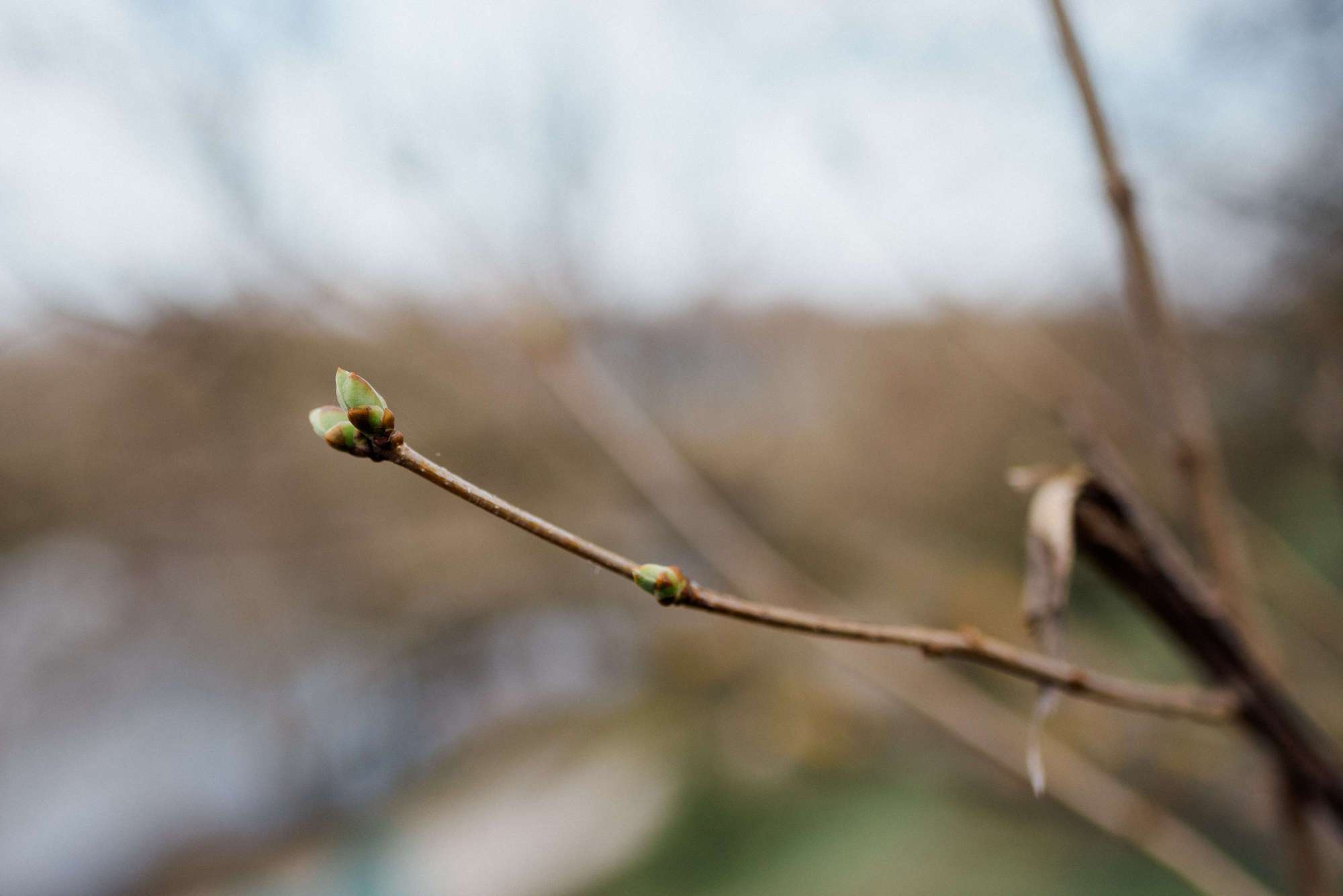 Максим и Наташа. Свадебный и семейный фотограф Тамбов