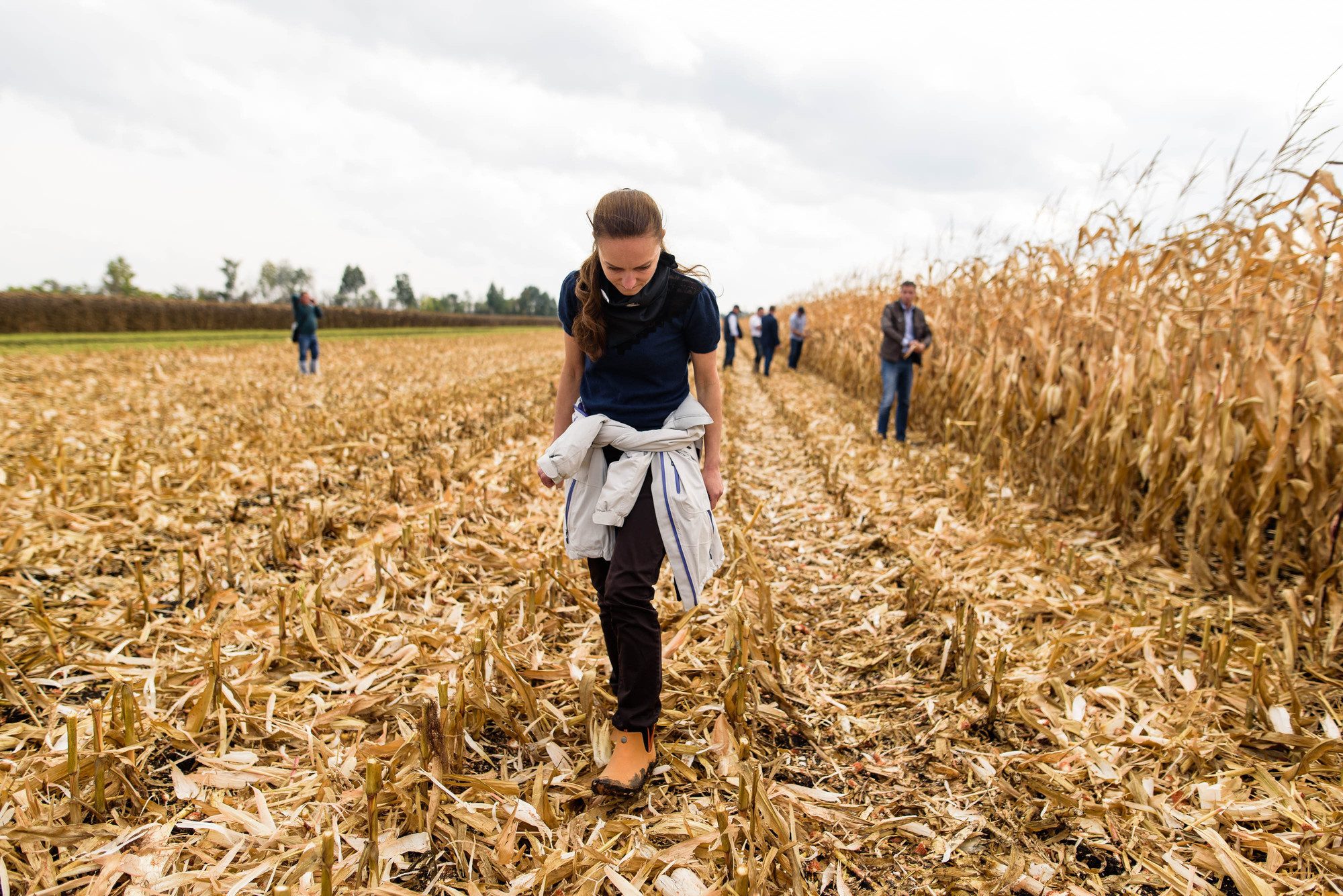 УРОКжайный год!. Свадебный и семейный фотограф Тамбов