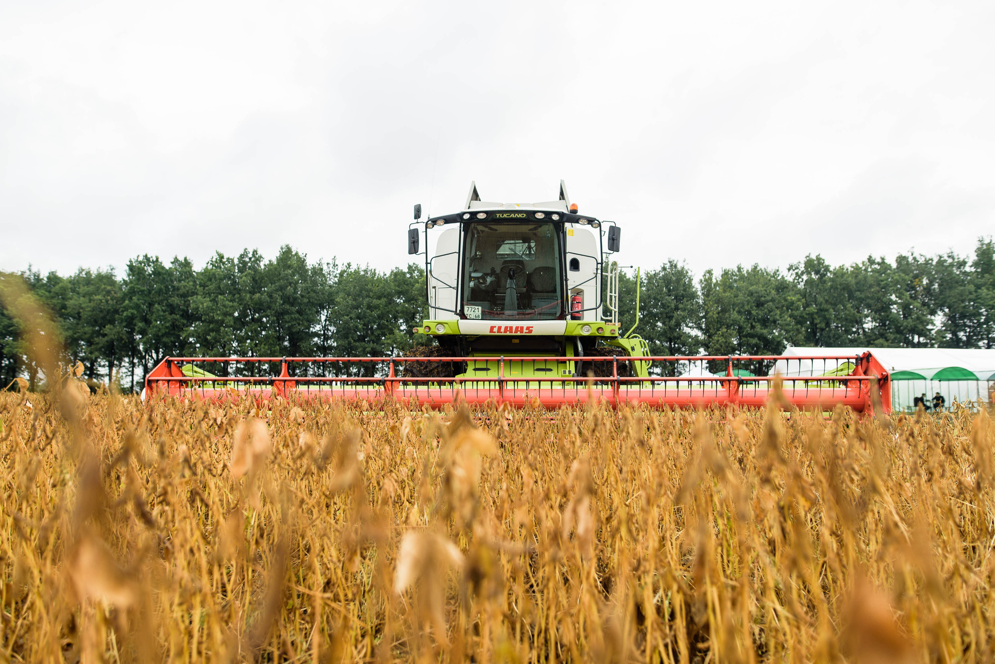 УРОКжайный год!. Свадебный и семейный фотограф Тамбов