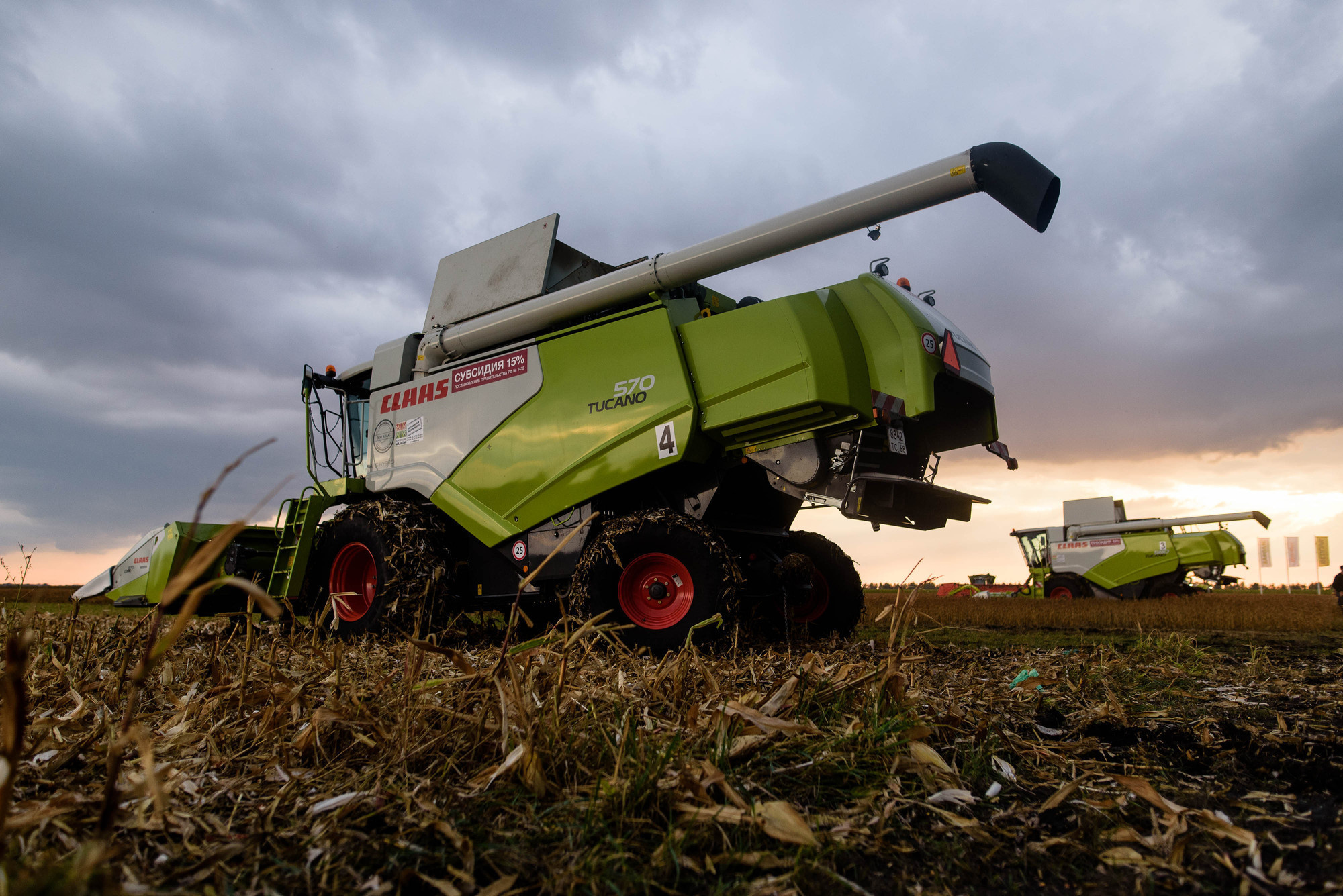 УРОКжайный год!. Свадебный и семейный фотограф Тамбов