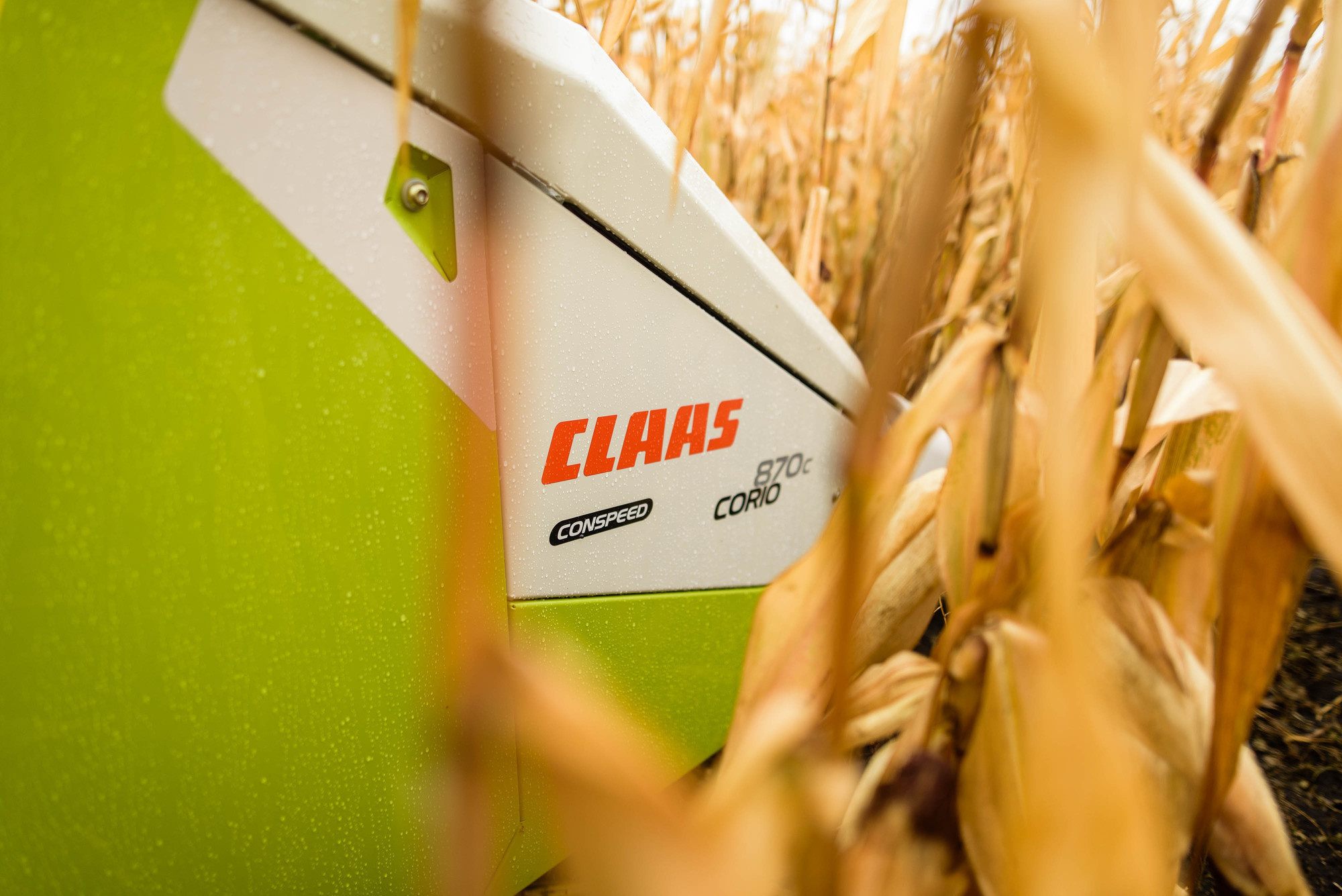 УРОКжайный год!. Свадебный и семейный фотограф Тамбов