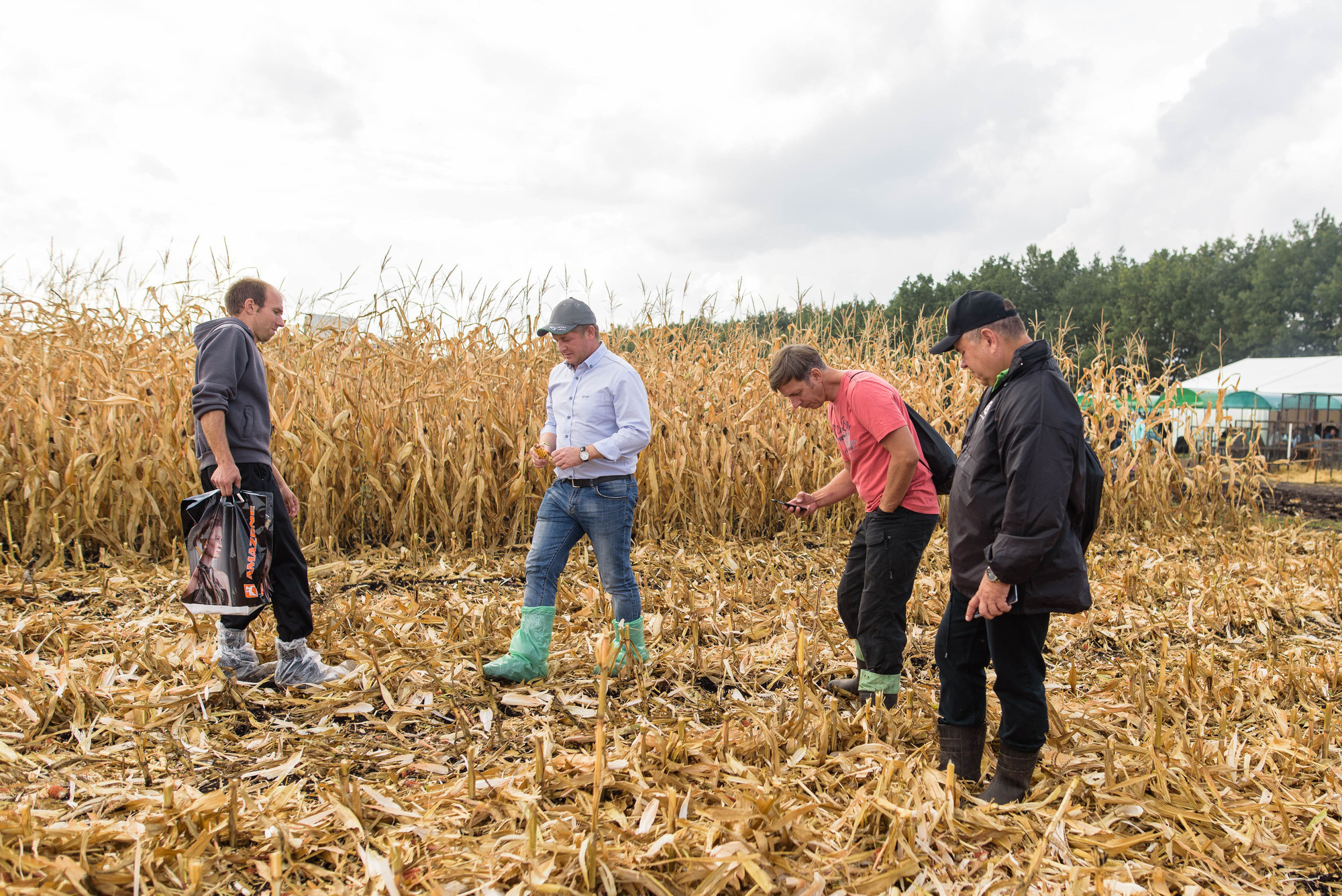 УРОКжайный год!. Свадебный и семейный фотограф Тамбов