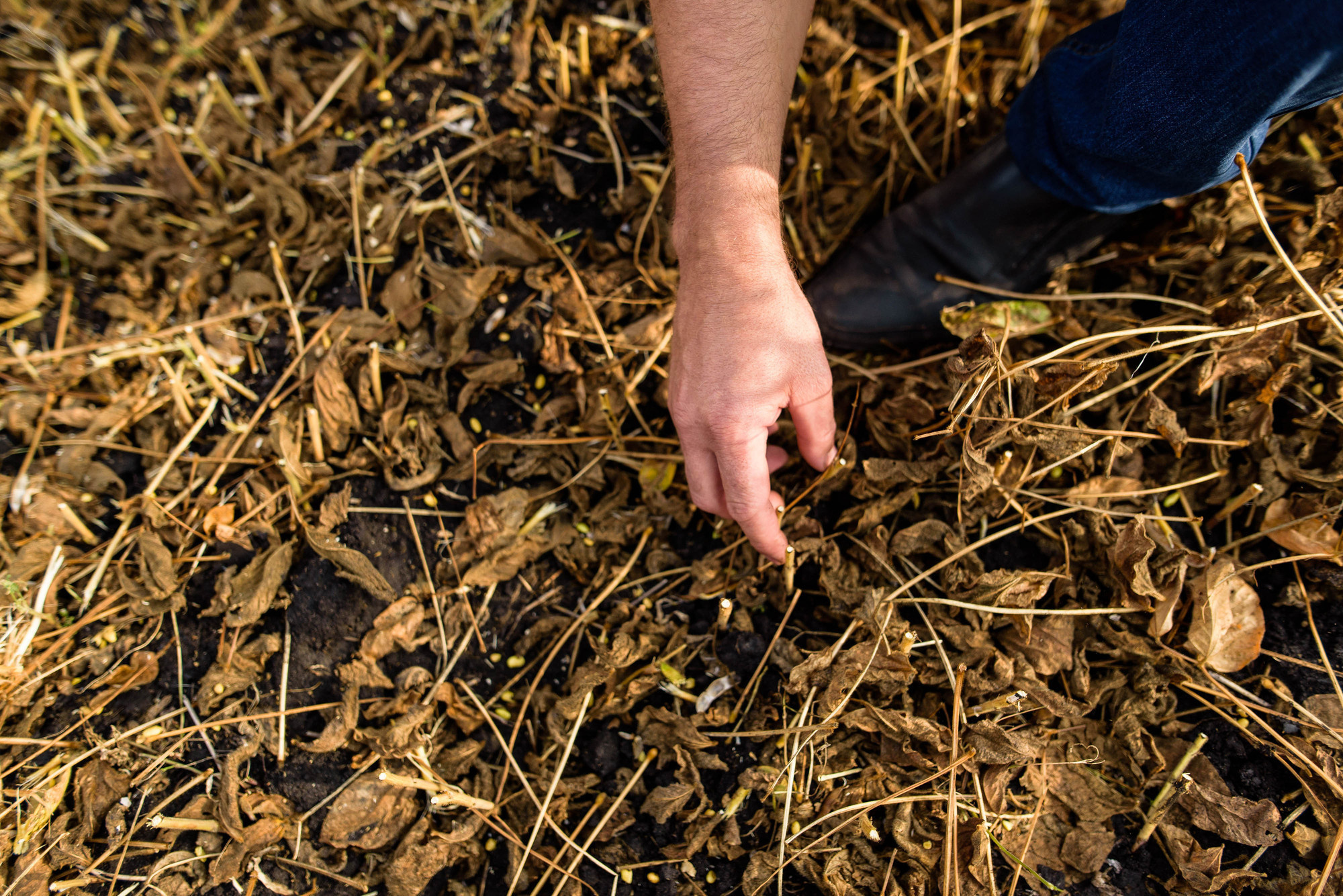 УРОКжайный год!. Свадебный и семейный фотограф Тамбов