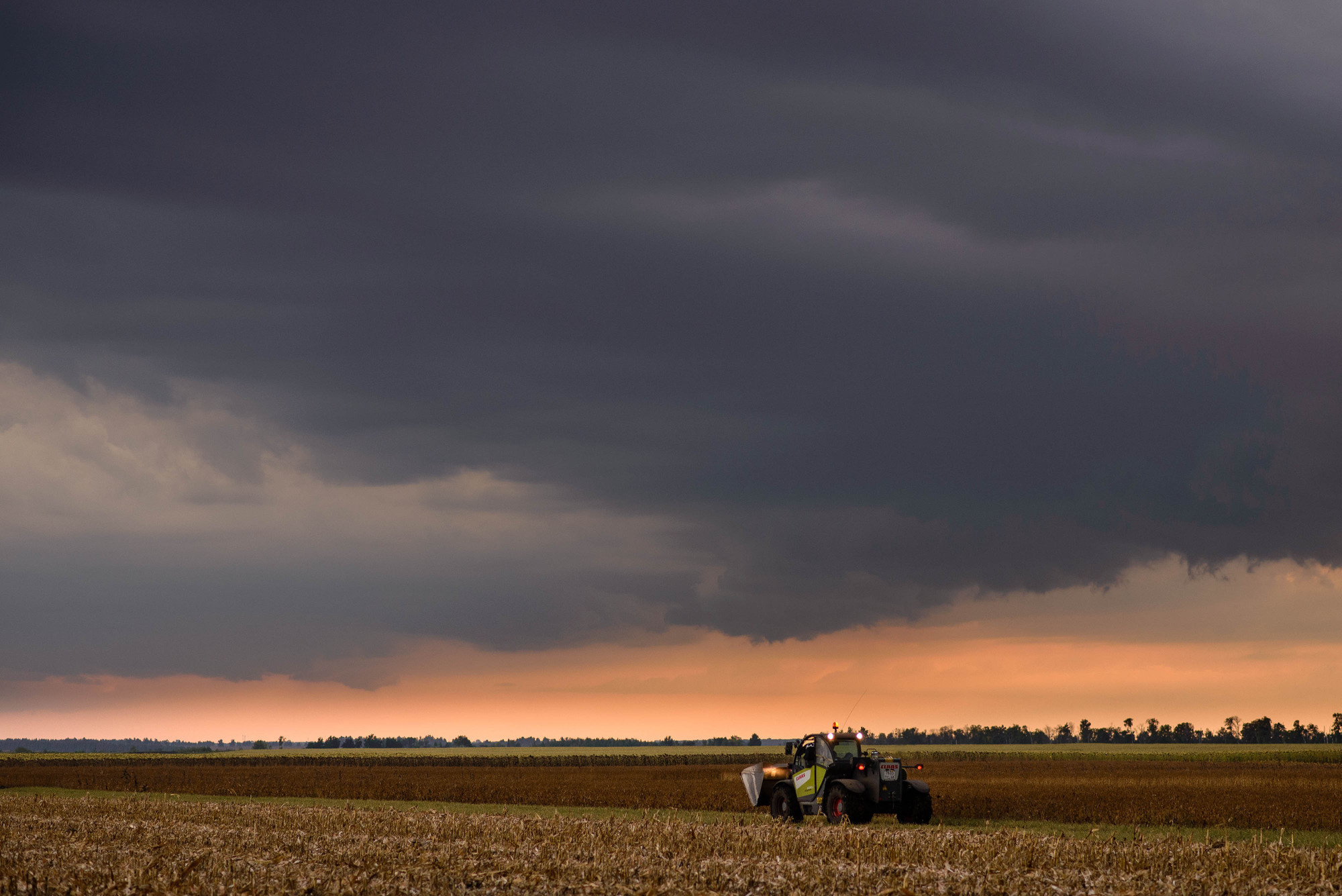УРОКжайный год!. Свадебный и семейный фотограф Тамбов