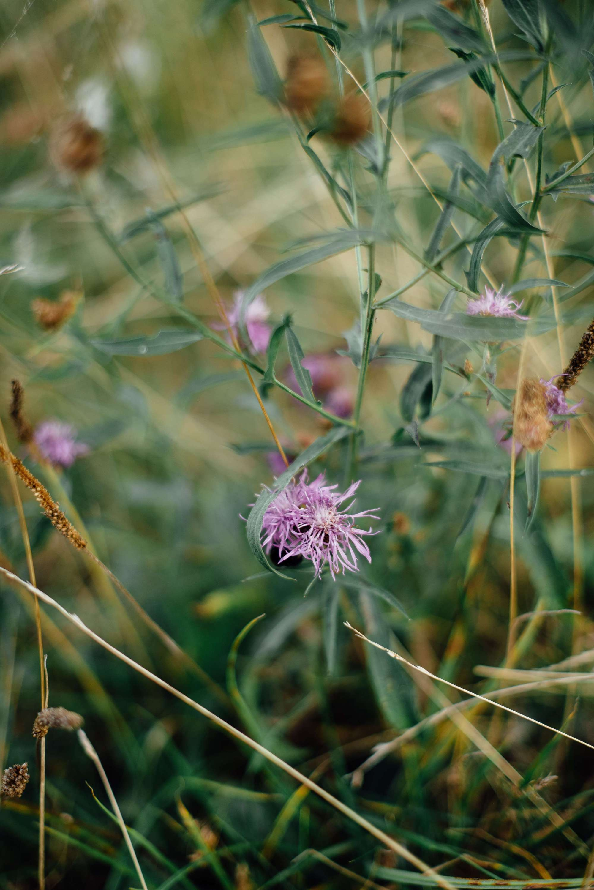 Катя и Тимур. Свадебный и семейный фотограф Тамбов