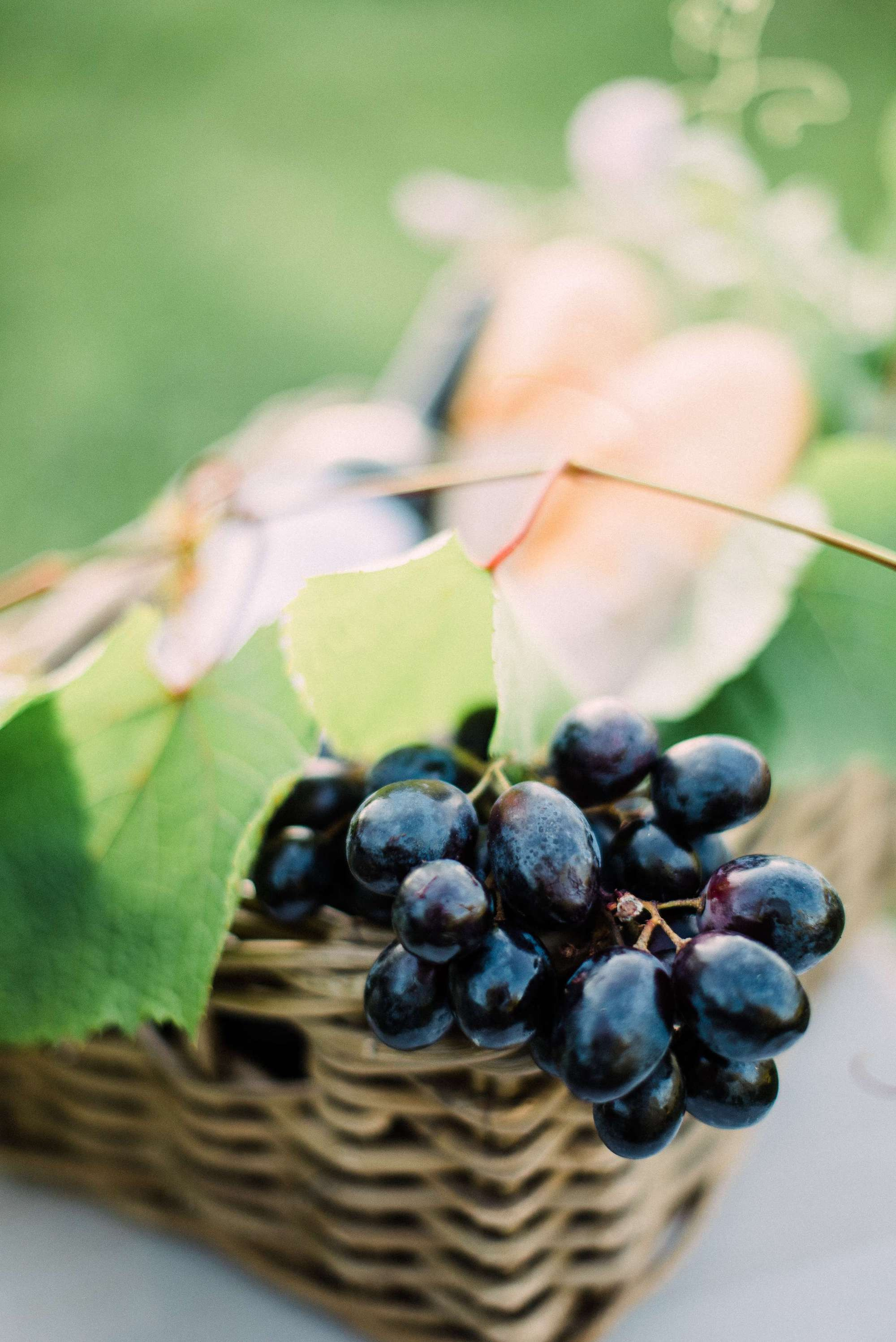 The Secret Life Of Daydreams. Свадебный и семейный фотограф Тамбов