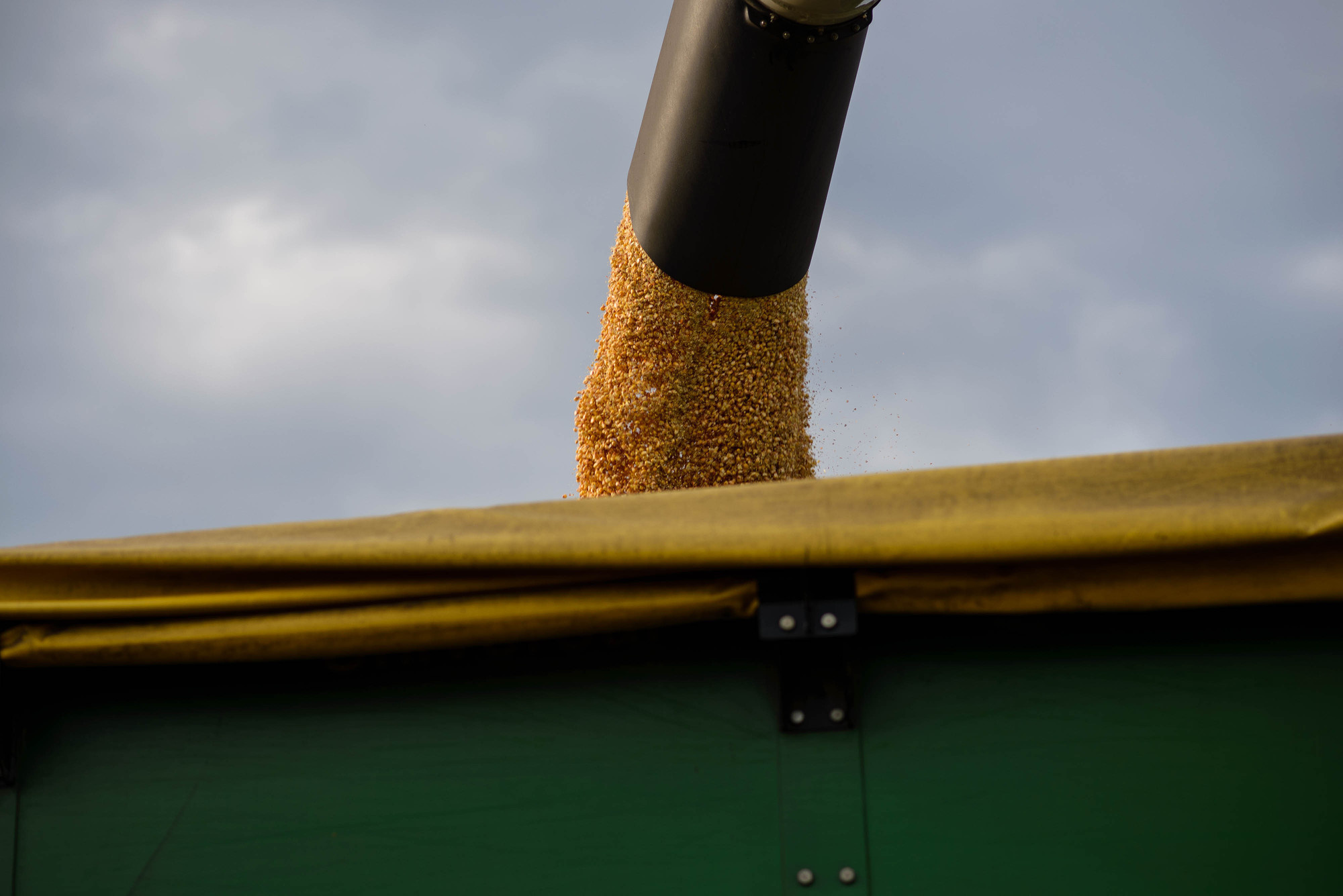 УРОКжайный год!. Свадебный и семейный фотограф Тамбов