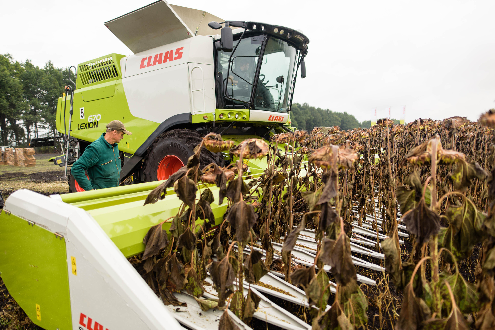 УРОКжайный год!. Свадебный и семейный фотограф Тамбов