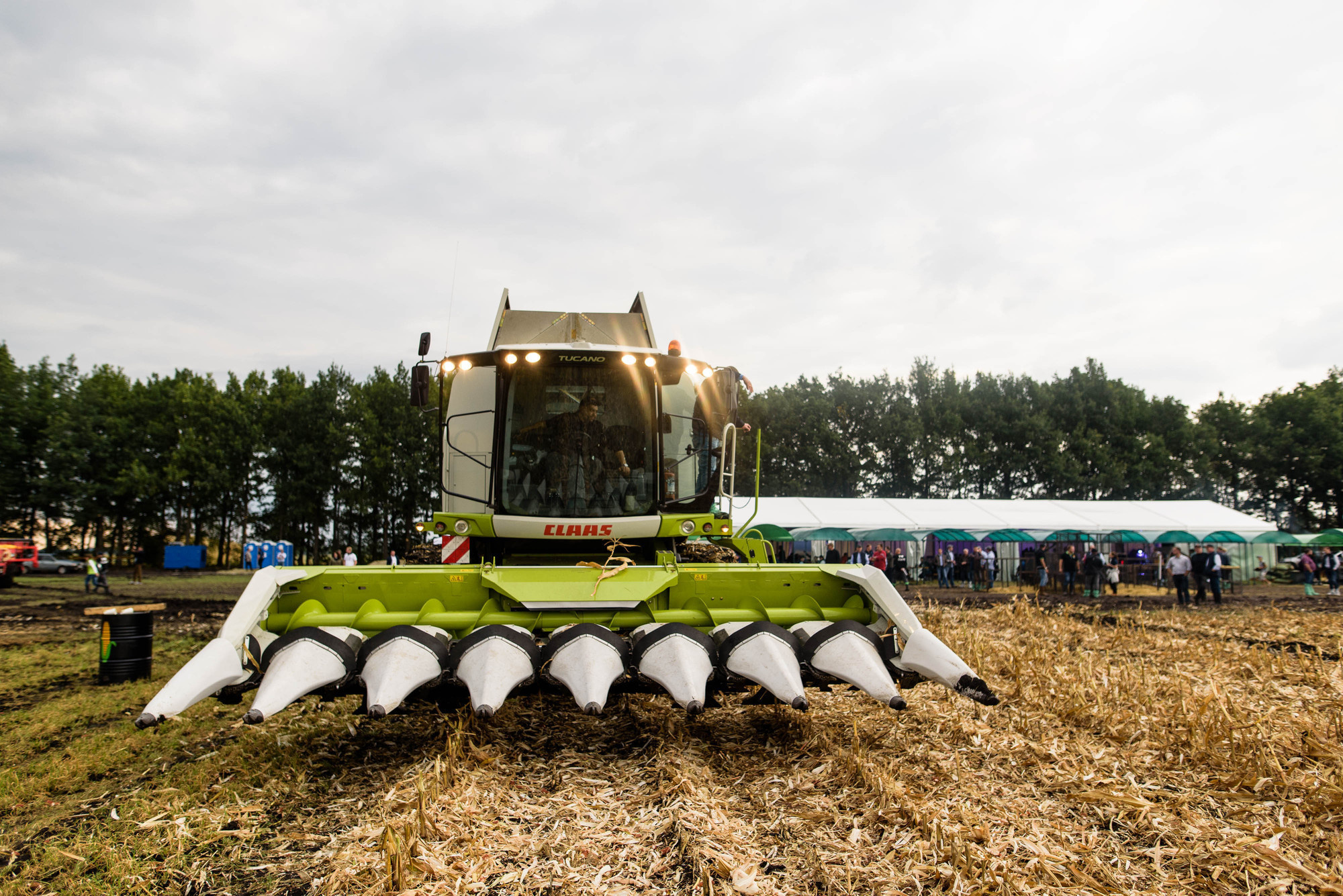 УРОКжайный год!. Свадебный и семейный фотограф Тамбов